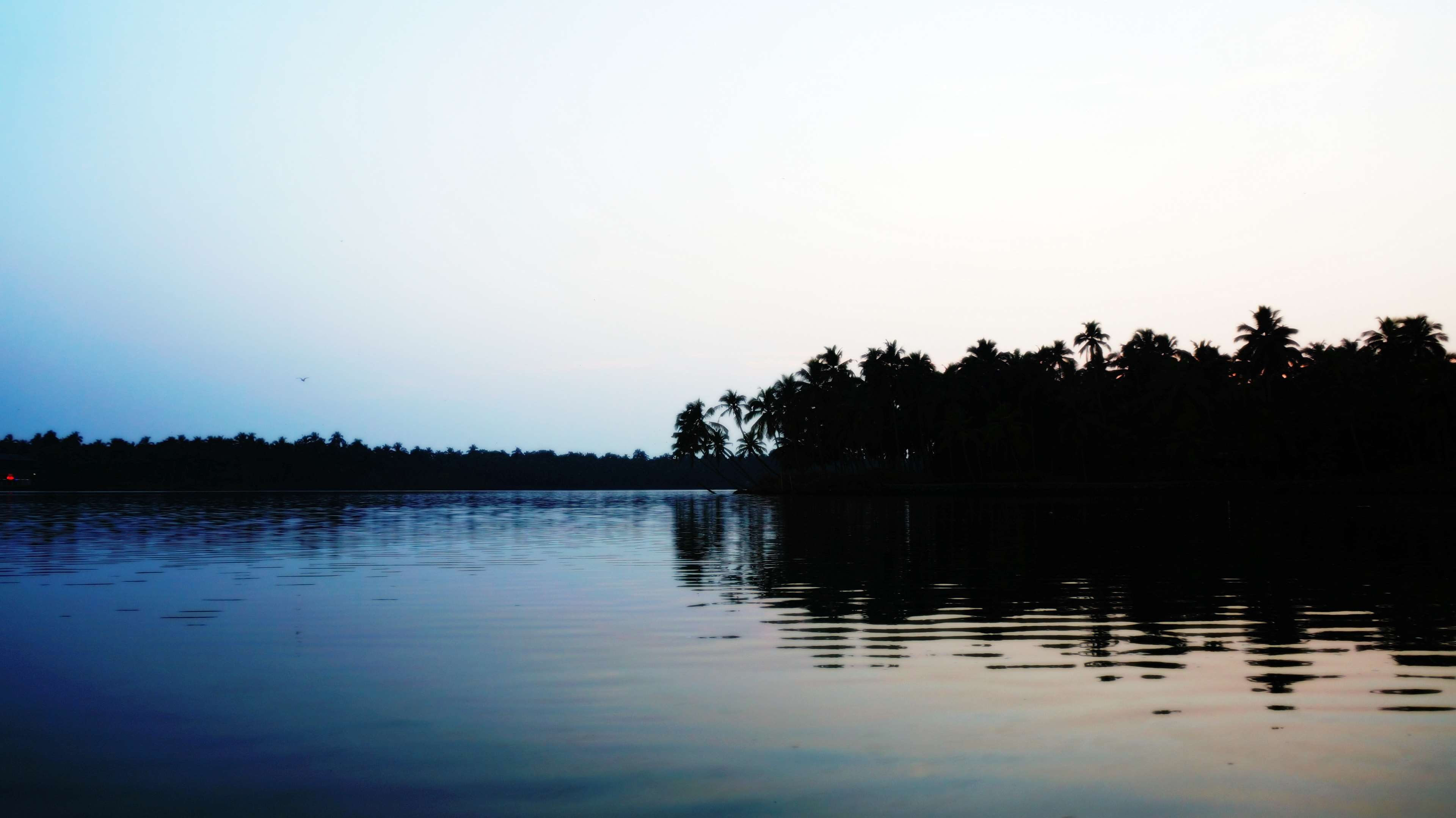 sunset, solitude, nature, scenics - nature, lake, silhouette, no people, reflection lake, waterfront, beauty in nature, copy space, tranquility, kerala, HD Wallpaper