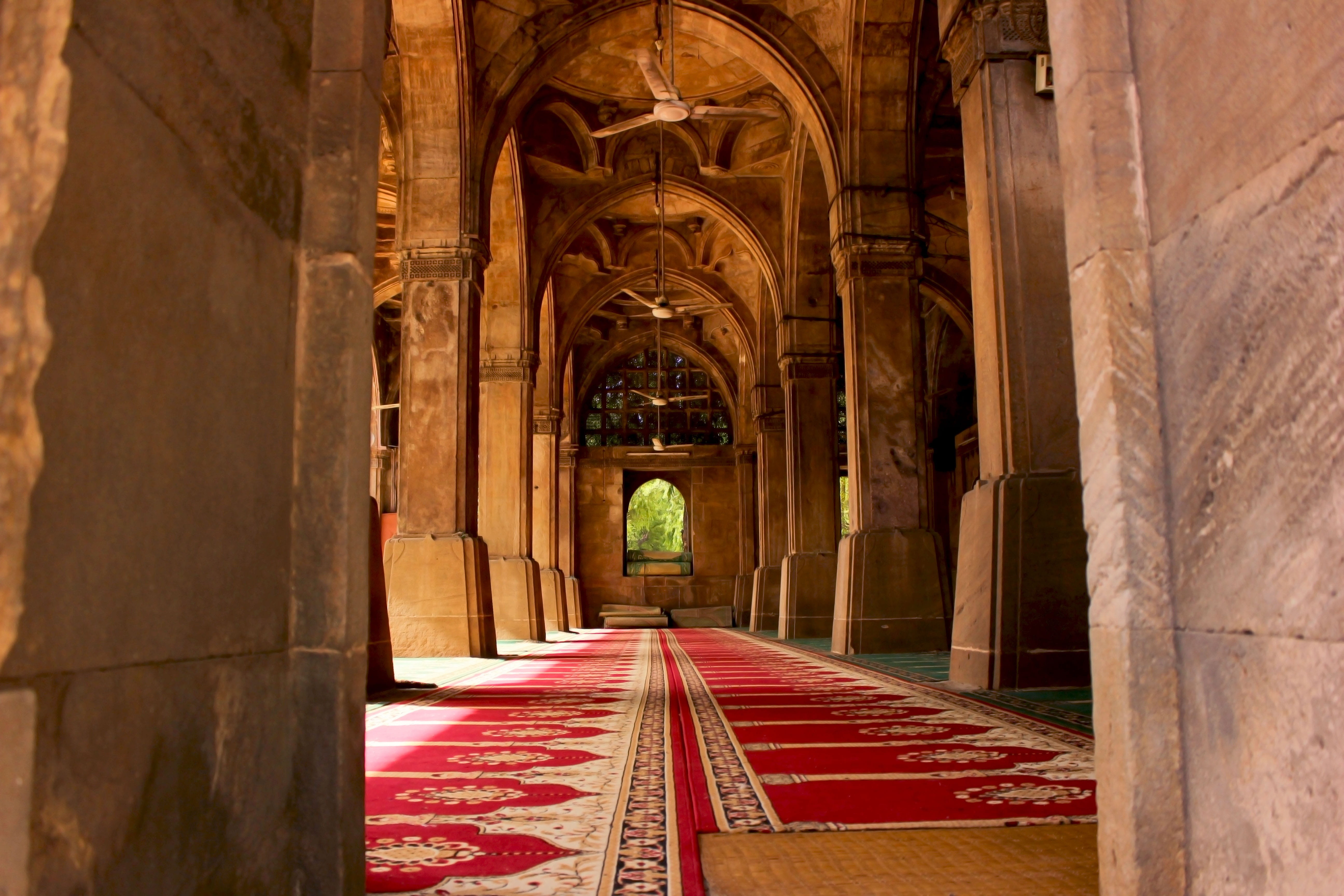 ahmedabad instagram, religion, sidi saiyyed mosque, 5K, the past, indoors, historical place, islam, ornate, day, travel destinations, culture, heritage, HD Wallpaper