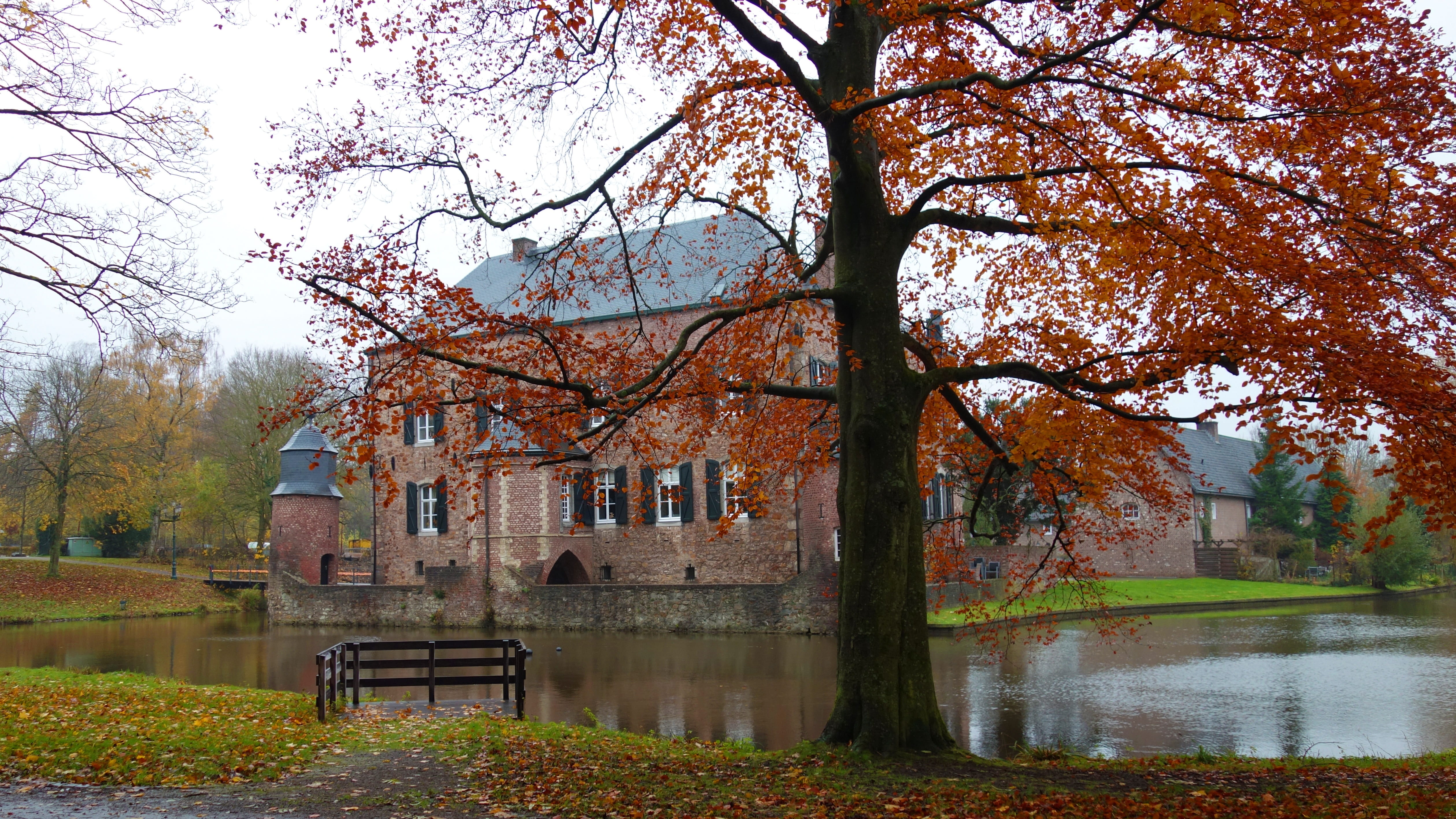 architecture, built structure, branch, building exterior, growth, fortress, autumn, beauty in nature, reflection, kerkrade, season, kasteel erenstein, lake, HD Wallpaper