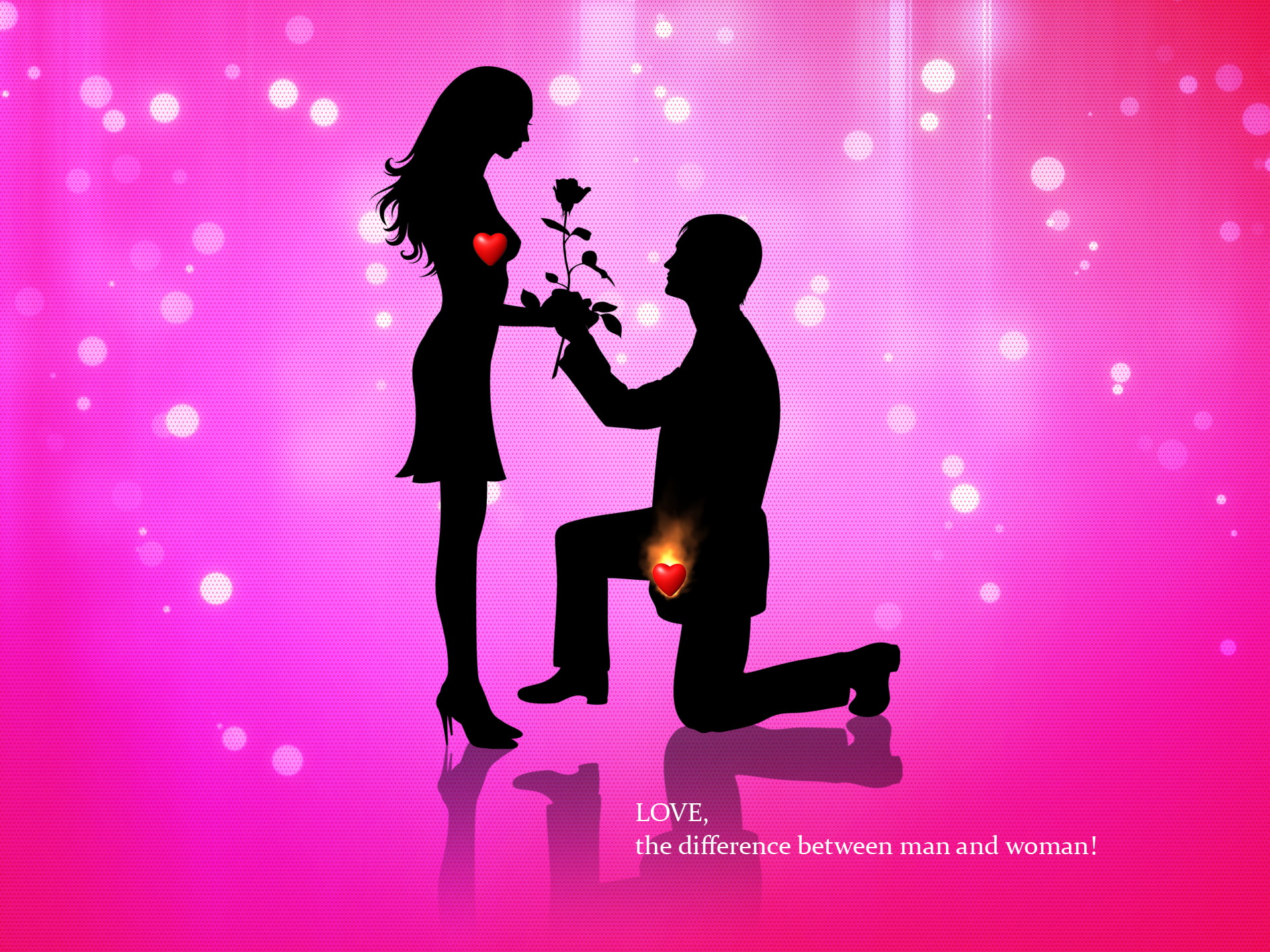 love, men, kneeling, 1080P, women, humor, silhouette, HD Wallpaper