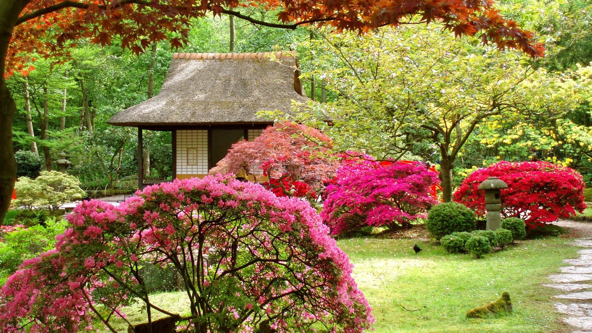garden, nature and landscapes, gardens, japanese, spring, nature, 1080P, flowers, HD Wallpaper
