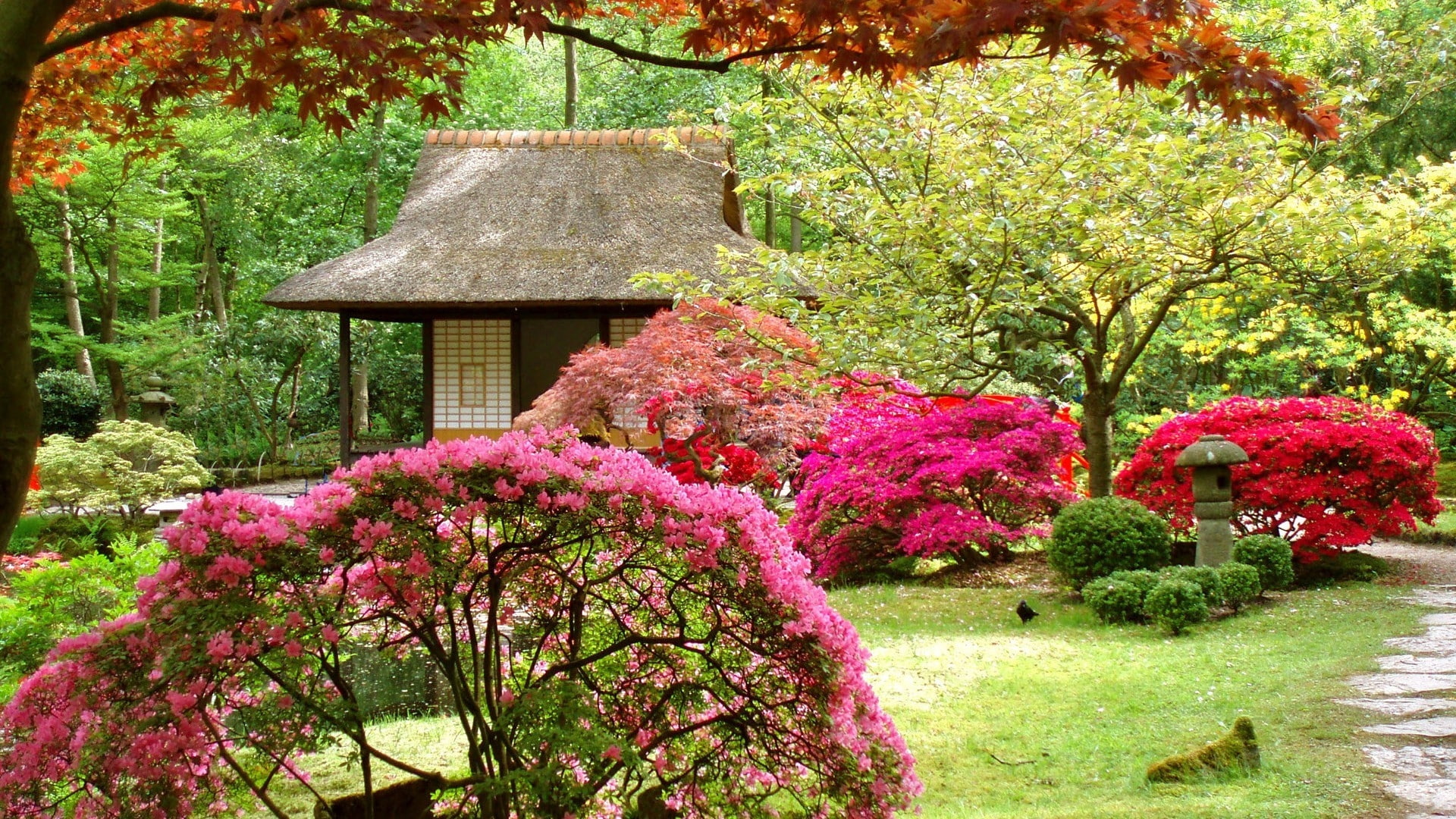 garden, landscape, 1080P, background, house, spring, japanese, trees, HD Wallpaper