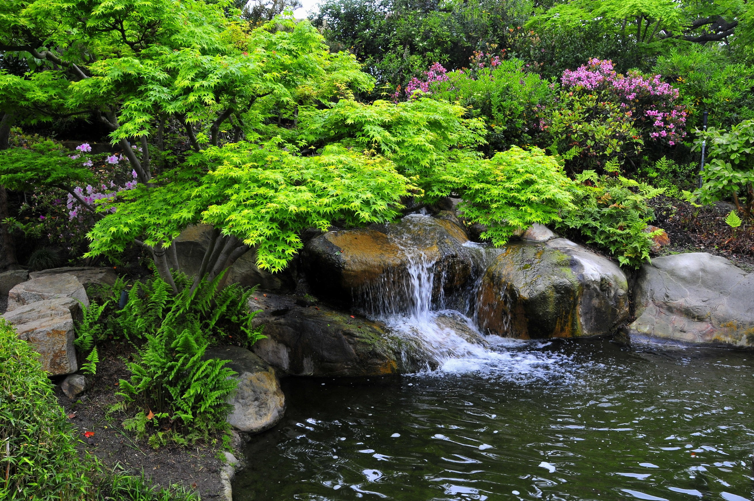 stones, miller, japanese, Miller Japanese Garden, garden, 2K, California, ručej.vodopad, bush, HD Wallpaper