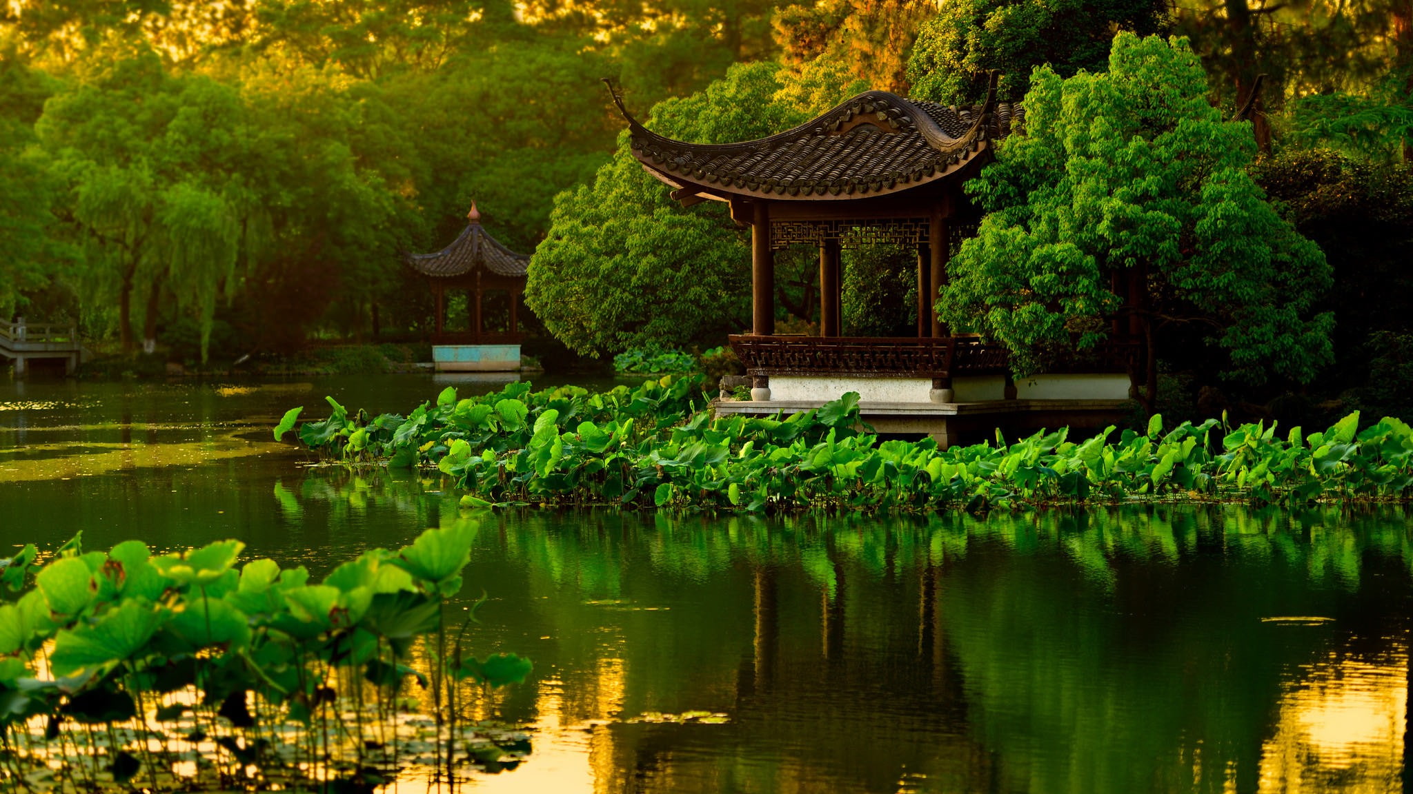 lake, Japanese Garden, 1080P, landscape, HD Wallpaper