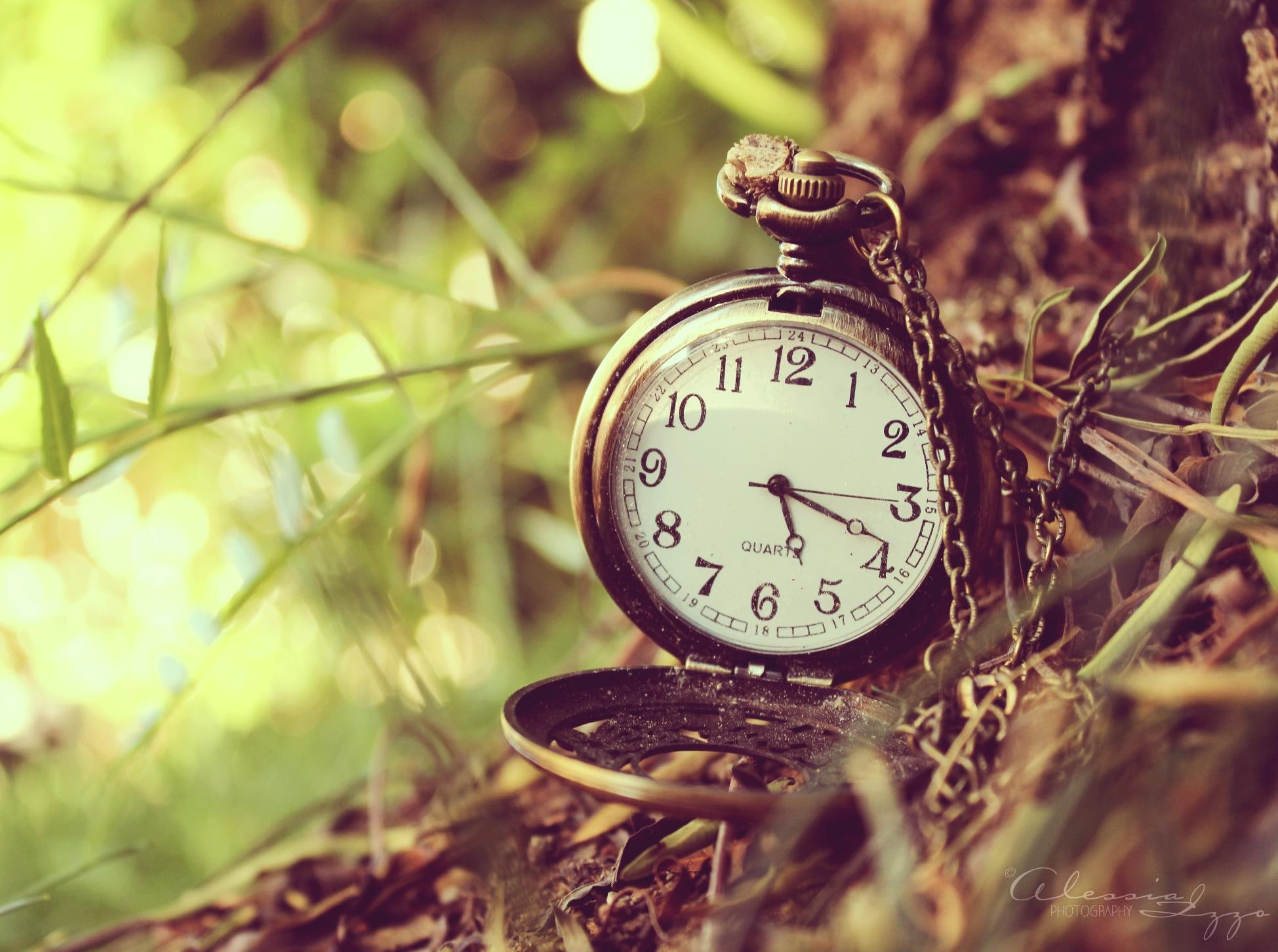 3d and abstract, 1080P, time, vintage, twigs, upon, tree, HD Wallpaper