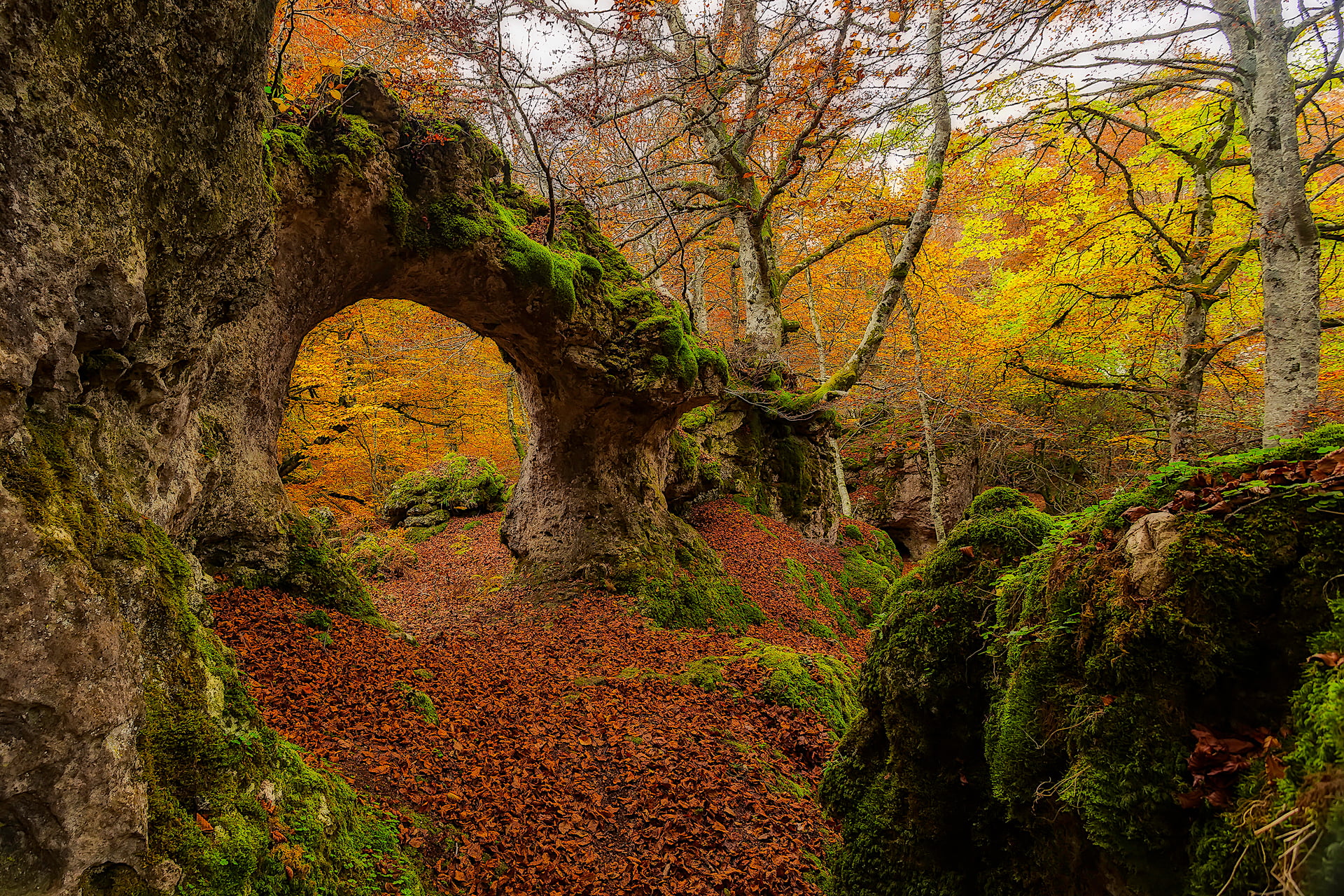 Urabain, tranquil scene, change, day, non-urban scene, rock, tranquility, nature, tree trunk, outdoors, Spain, beauty in nature, scenics - nature, growth, HD Wallpaper