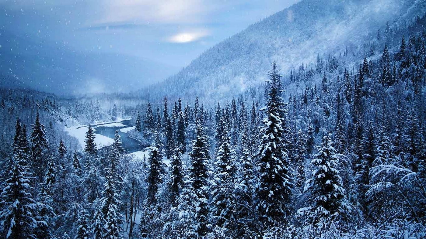 mountains, cold, river, mist, winter, Alaska, snow, trees, 720P, nature, landscape, forest, HD Wallpaper