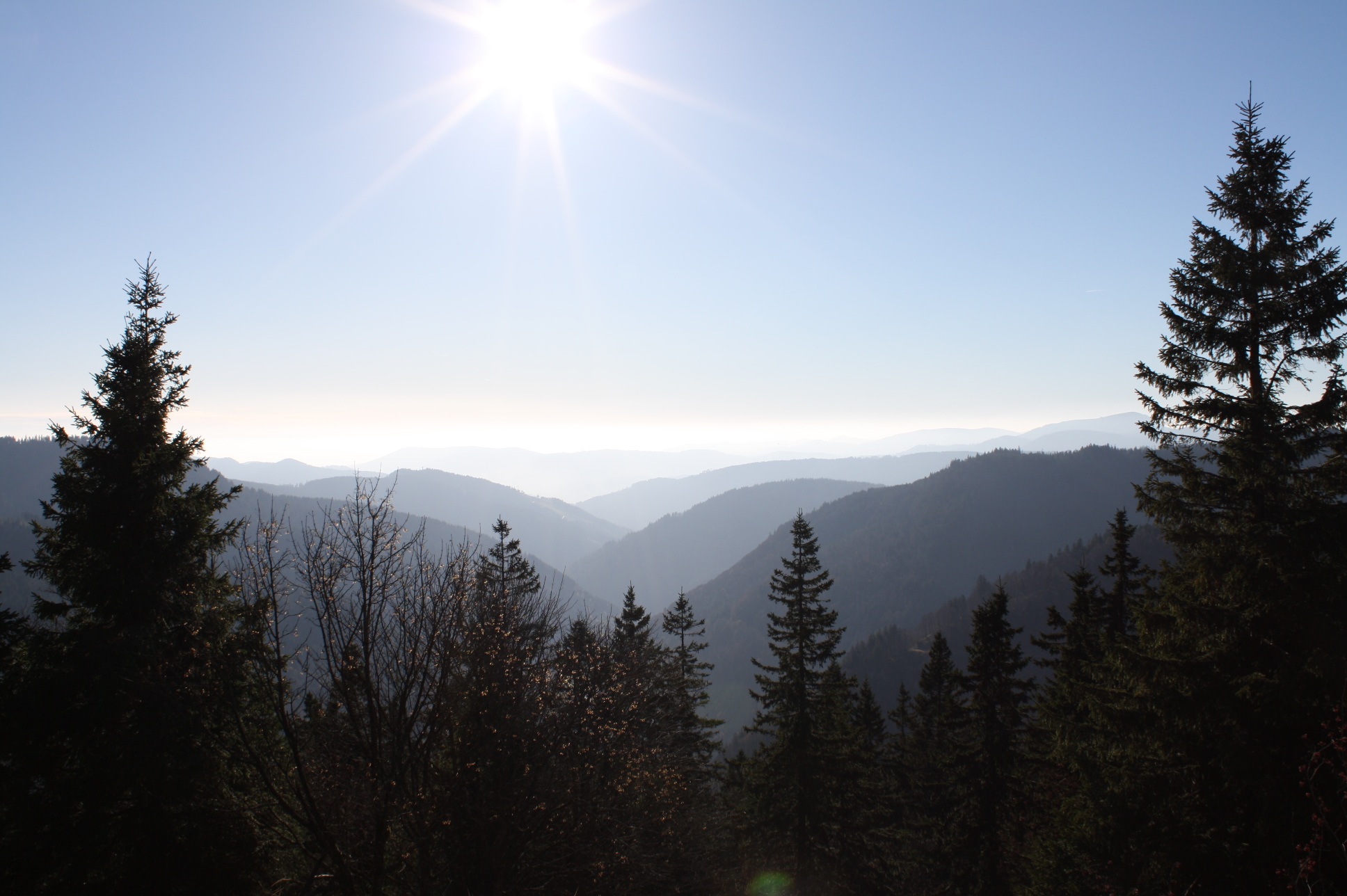 tranquility, sky, sun, 1080P, growth, lens flare, panorama, pine tree, tranquil scene, tree, mountain range, scenics - nature, sunlight, black forest, HD Wallpaper