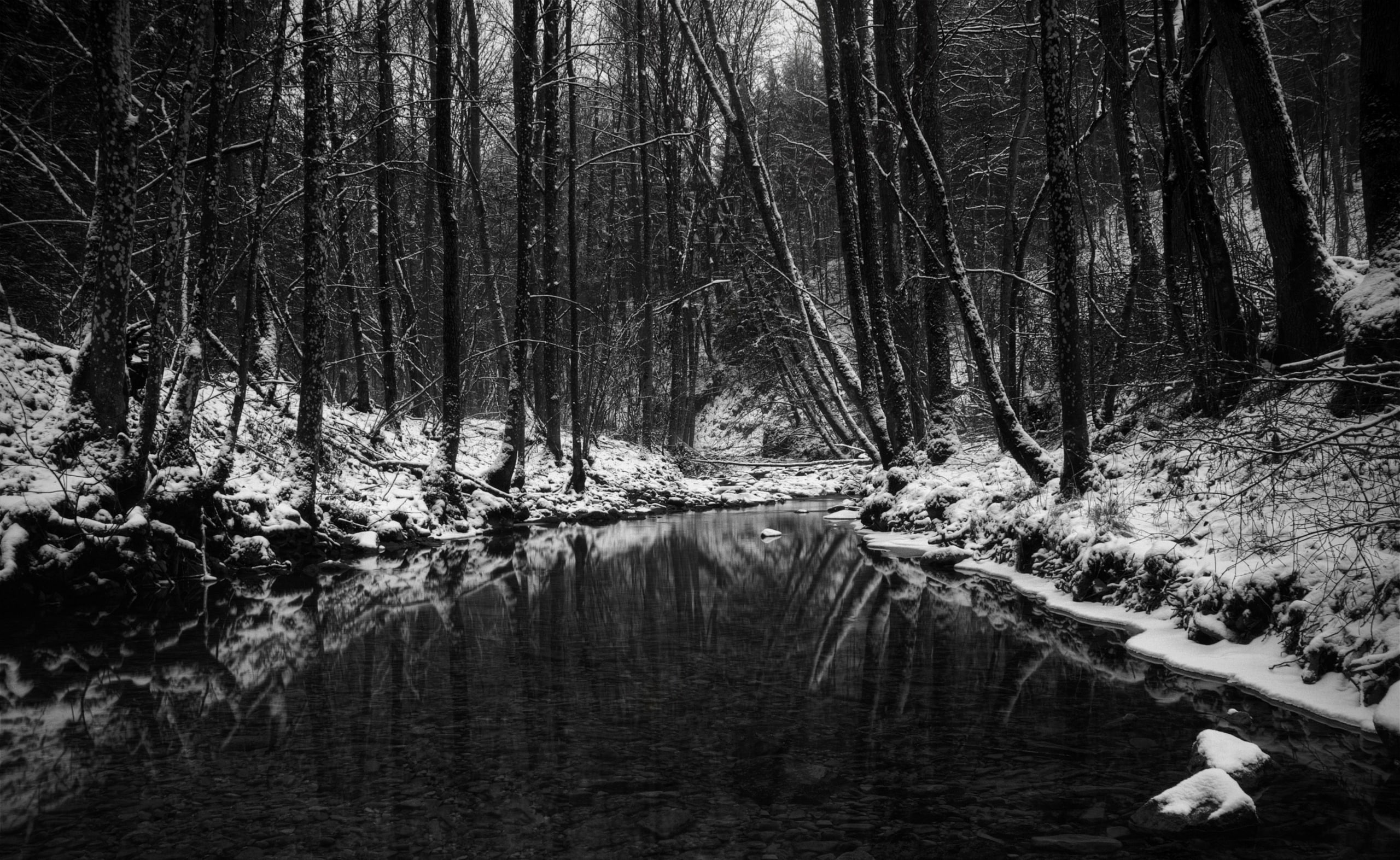 black river, tranquility, outdoors, Dark, tranquil scene, bare tree, Forest, clear, beauty in nature, Black, snow, black and white, Winter, Aero, plant, HD Wallpaper
