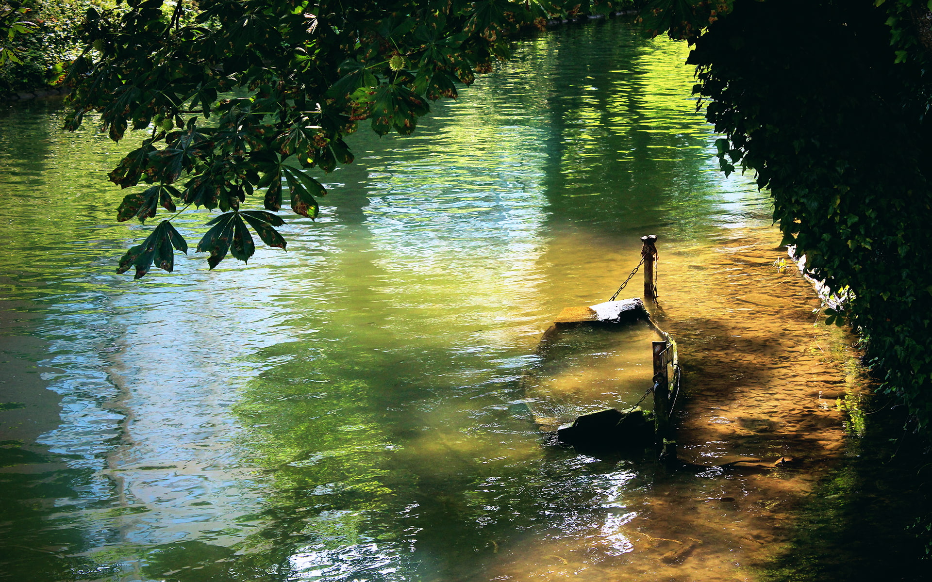 dappled sunlight, nature, green, abandoned, 1080P, shipwreck, wreck, boat, river, clear water, HD Wallpaper