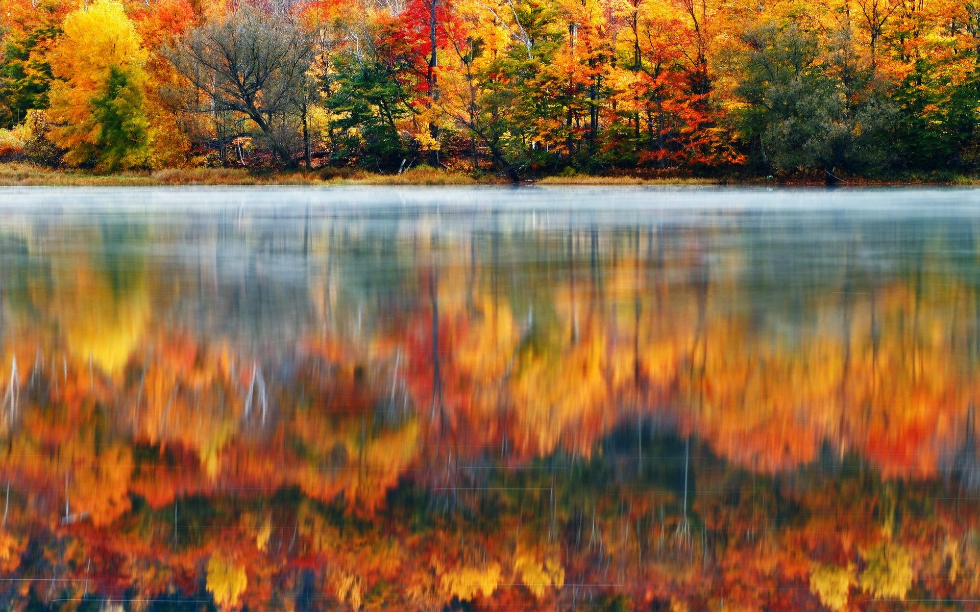 usa, background, nature, hampshire, fog, autumn, lakes, 1080P, lake, new, reflection, pictures, morning, HD Wallpaper