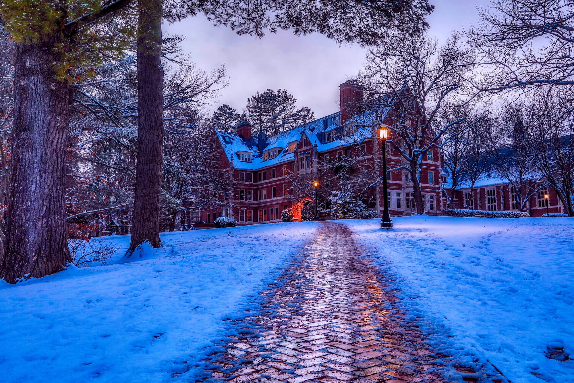 building, night, sky, walkway, built structure, sunset, bare tree, white house, white, transportation, education, the way forward, snowing, illuminated, HD Wallpaper