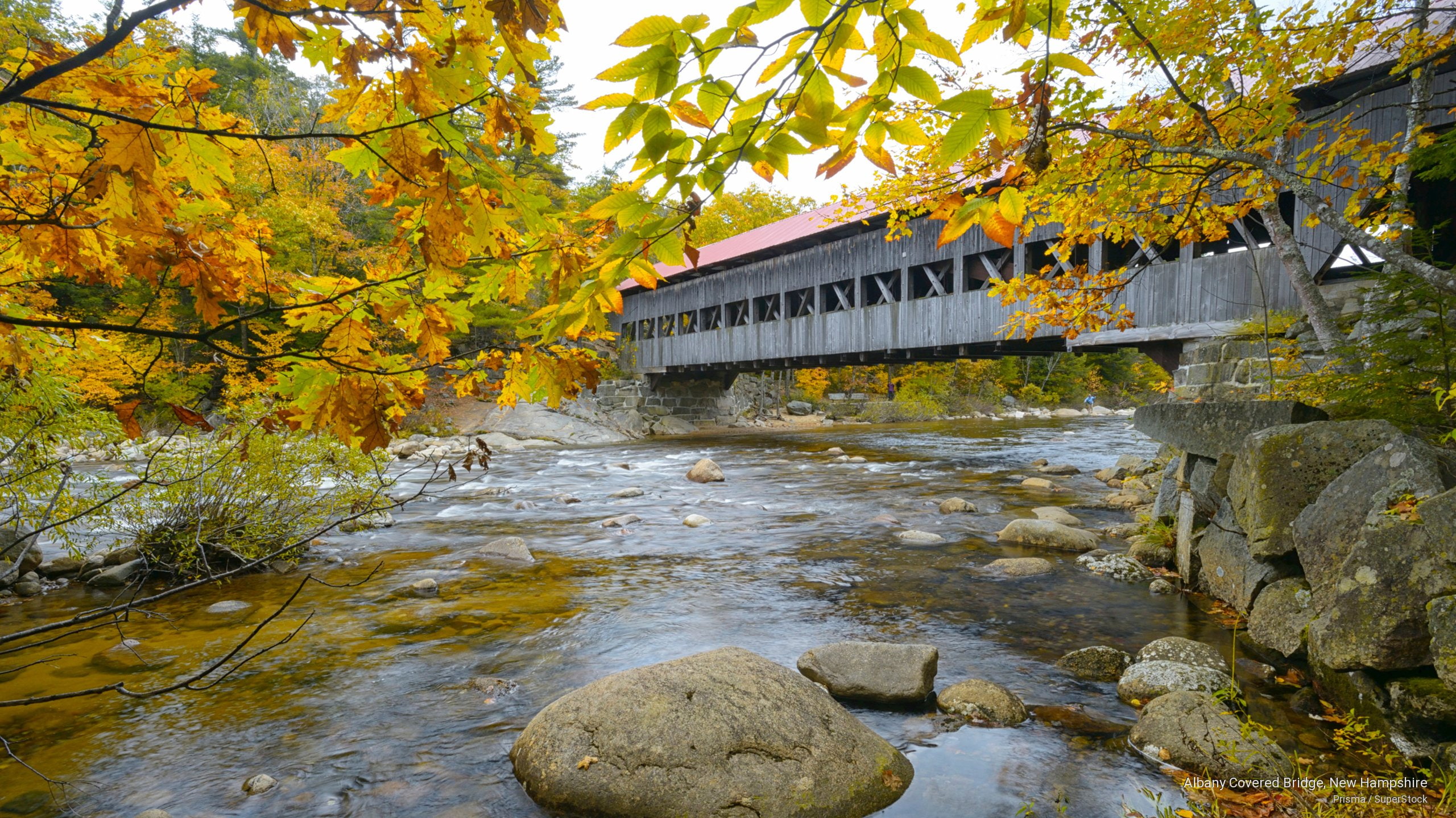 Fall, covered, hampshire, albany, bridge, new, 2K, HD Wallpaper