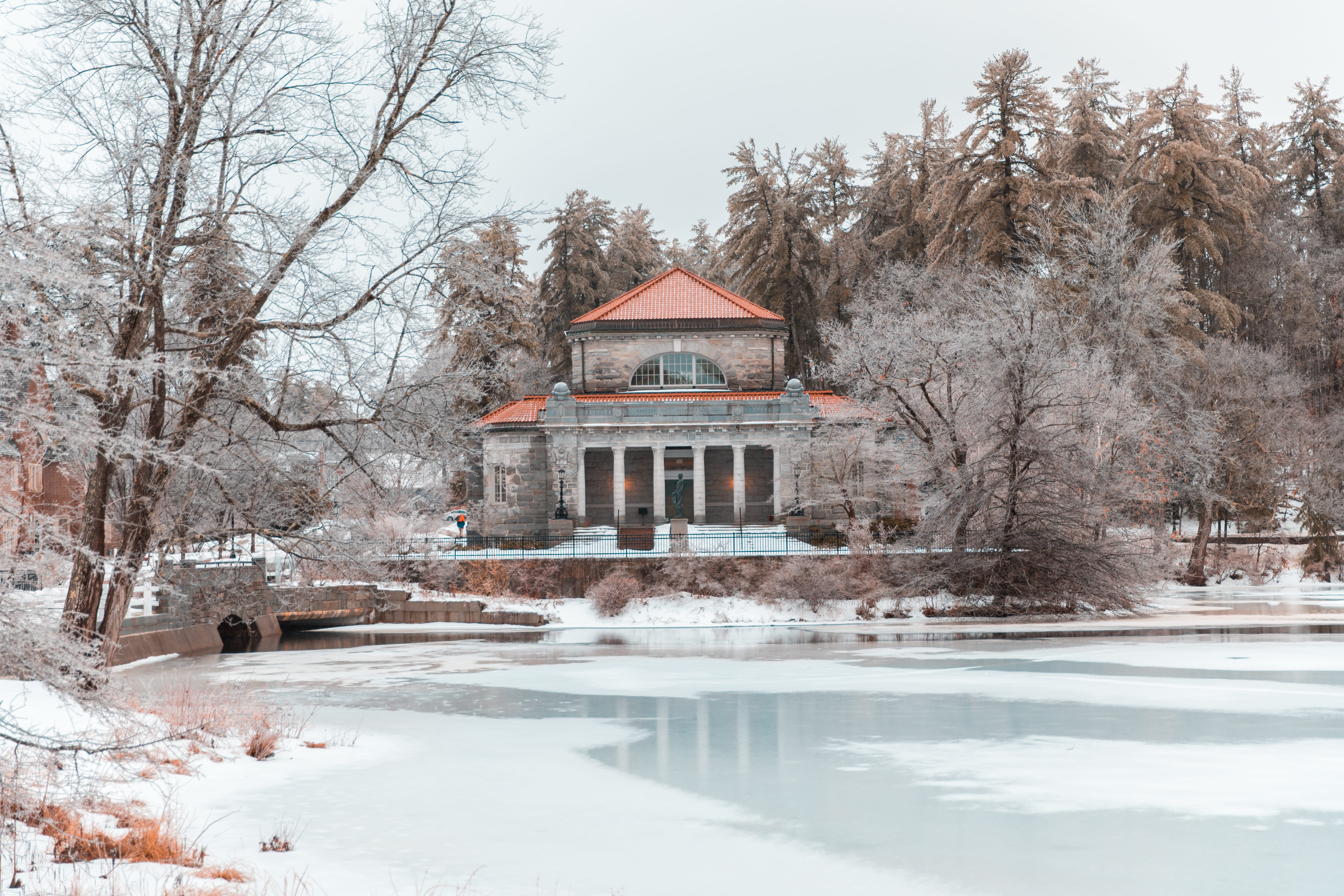 5K, bare tree, beauty in nature, icy, tree, no people, day, snow, architecture, digital purpose co, water, ice storm, granite building, winter, plant, HD Wallpaper