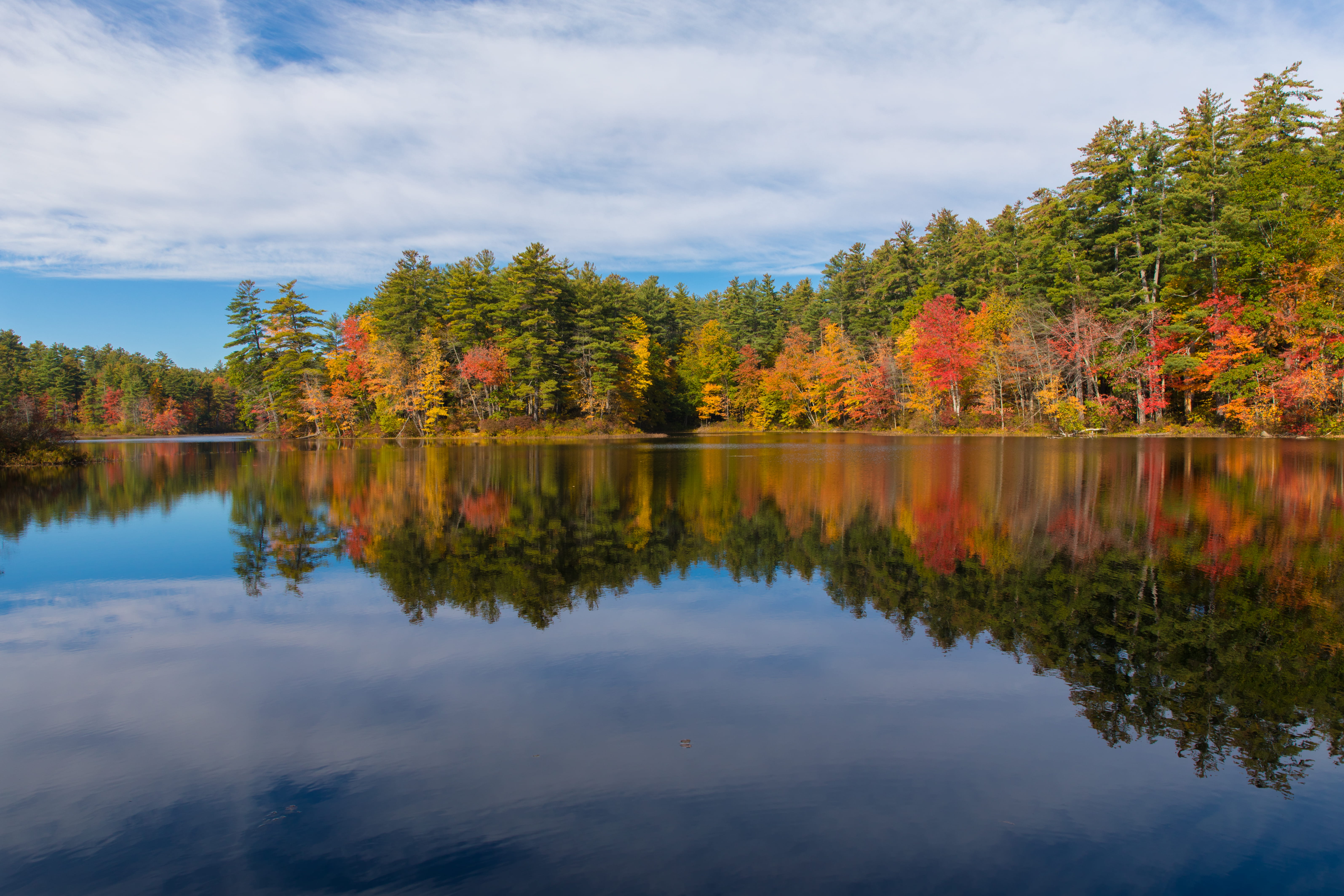 plant, reflections, st pauls school, reflection lake, nh, idyllic, cloud - sky, reflection, new hampshire, st. pauls school, scenics - nature, beauty in nature, HD Wallpaper
