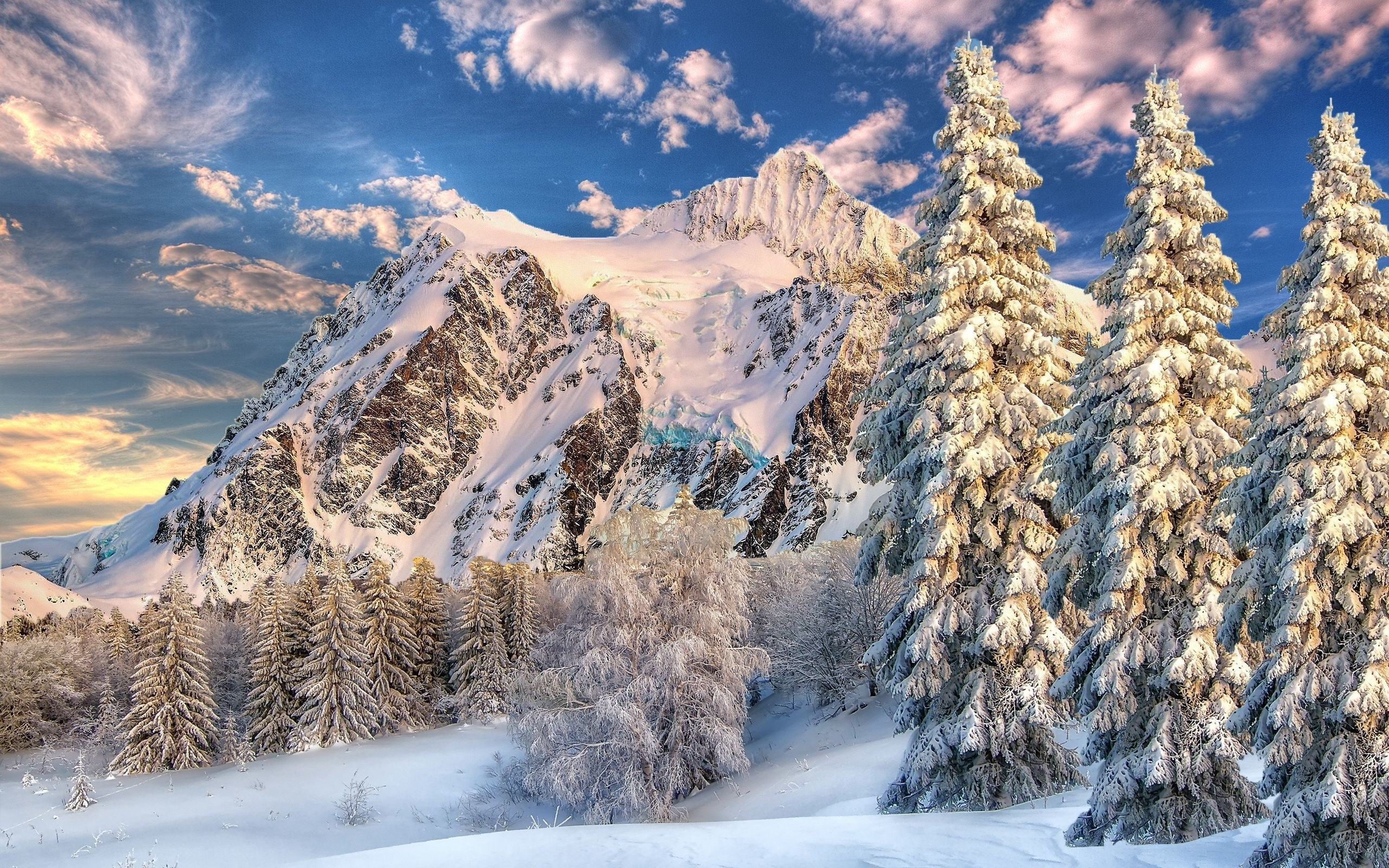 Mountains, Spruce, 2K, Winter, Snow, Sky, Clouds, Trees, HD Wallpaper