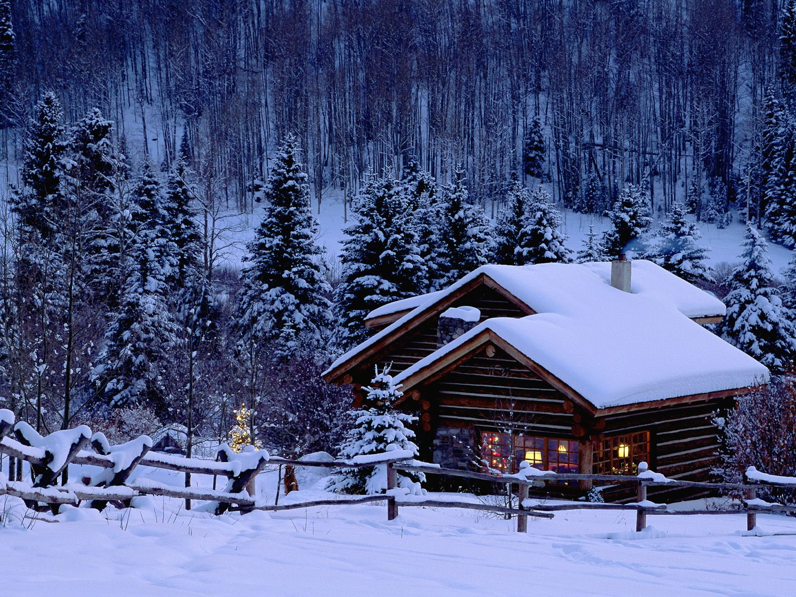 720P, trees, house, fence, winter, forest, cabin, tree, snow, nature, hd, HD Wallpaper