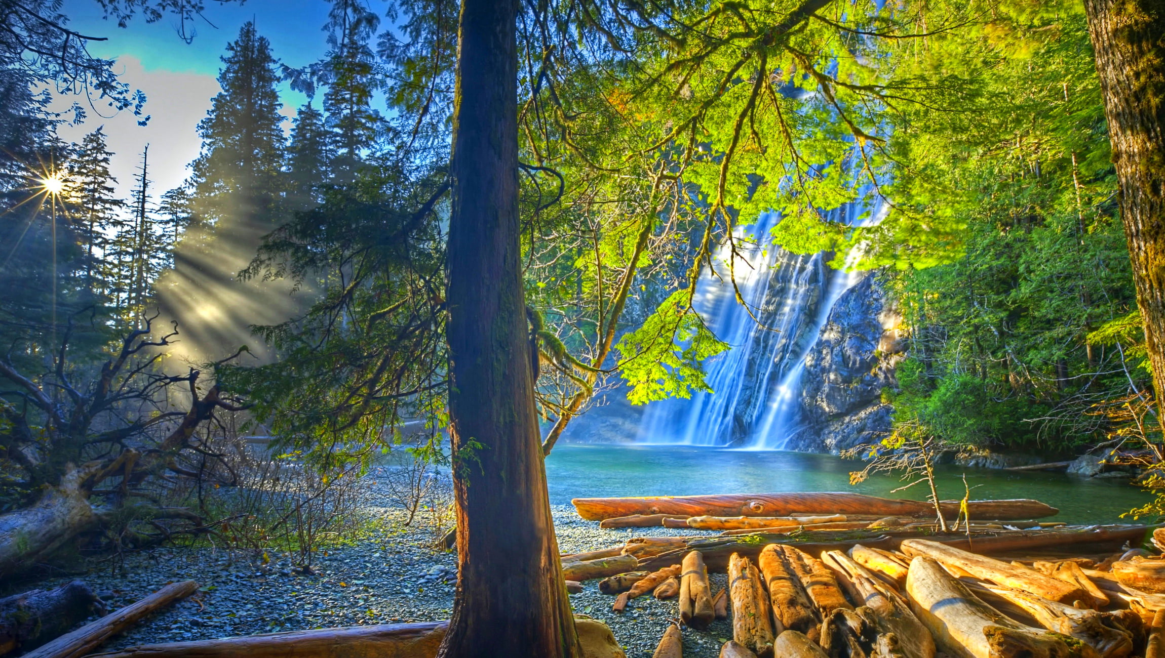 blurred motion, tranquil scene, power in nature, trees, rainforest, logs, the rays of the sun, Virgin Falls, plant, no people, flowing, nature, rays, Tennessee, HD Wallpaper