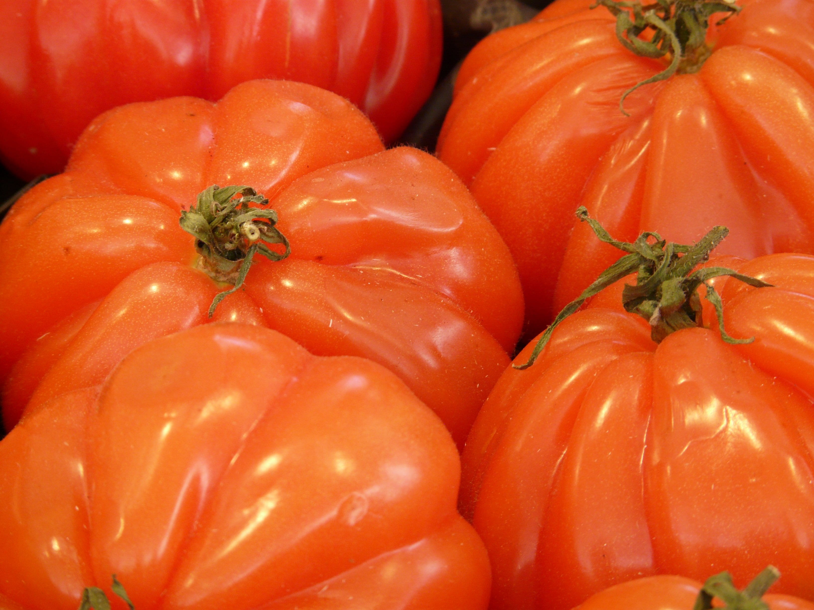 vegetables, beefsteak tomato, vitamins, vegetable, salad, fruit, raw food, backgrounds, large group of objects, close-up, freshness, ripe, wellbeing, orange color, HD Wallpaper