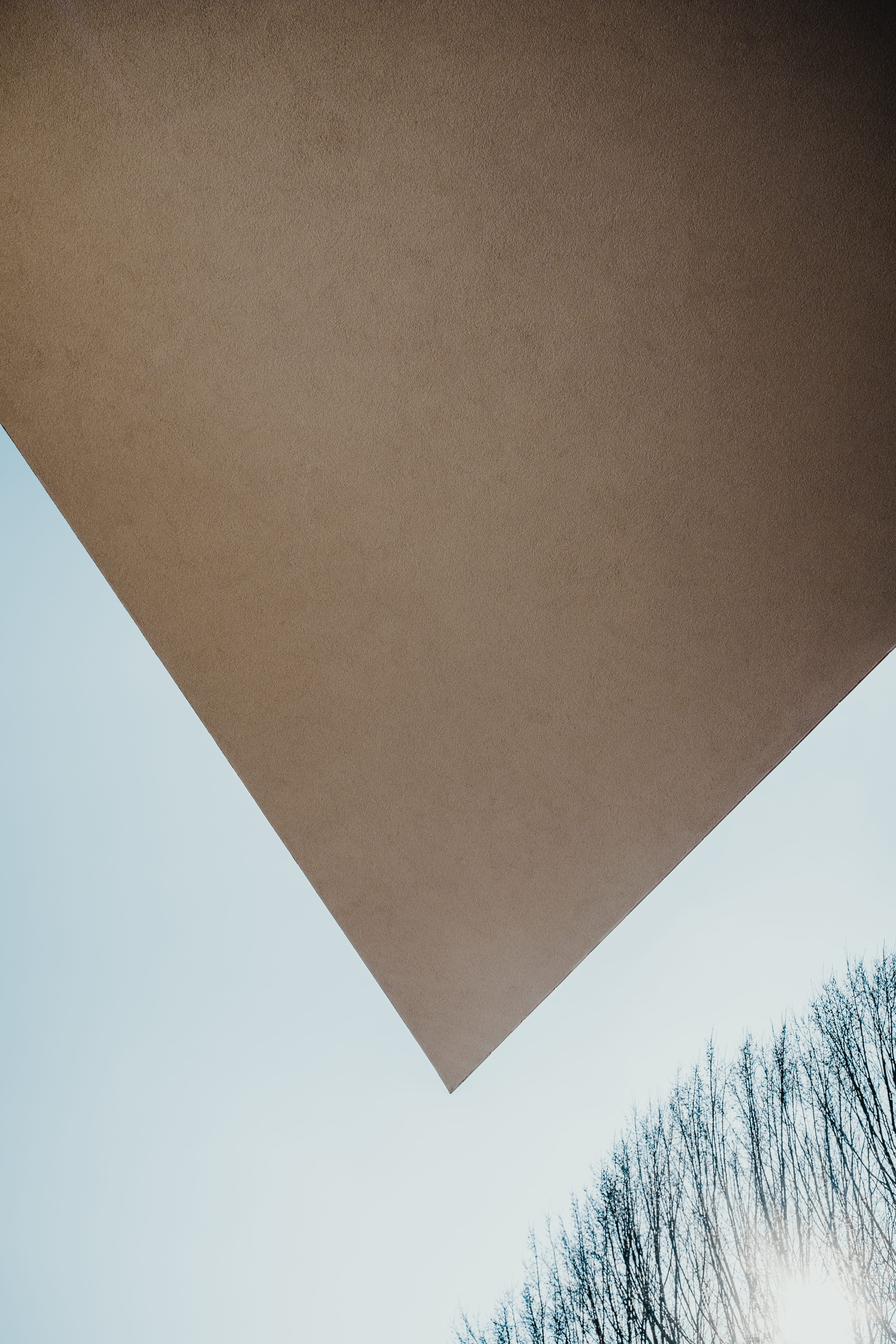 building exterior, clear sky, minimal background, modern, low angle view, plant, close-up, style, urban, background, leuven, nature, beauty in nature, outdoors, Phone HD Wallpaper