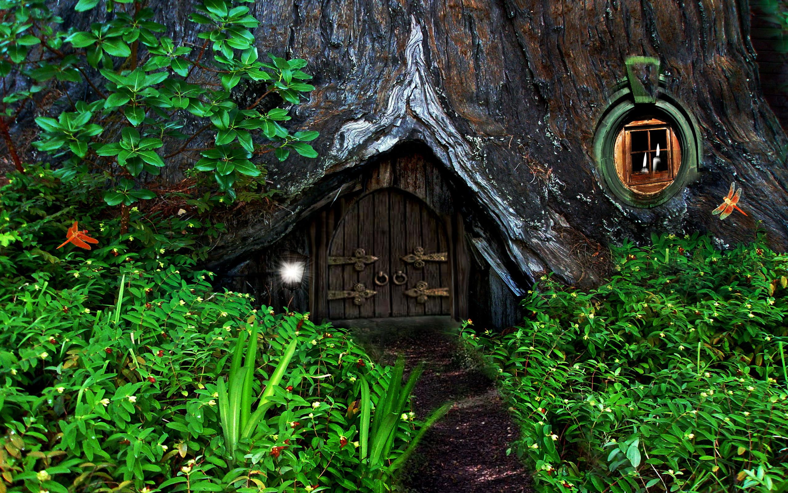 growth, built structure, architecture, nature, tree trunk, 2K, entrance, wood - material, plant, trunk, plant part, hobbit, fantasy, forest, building, HD Wallpaper