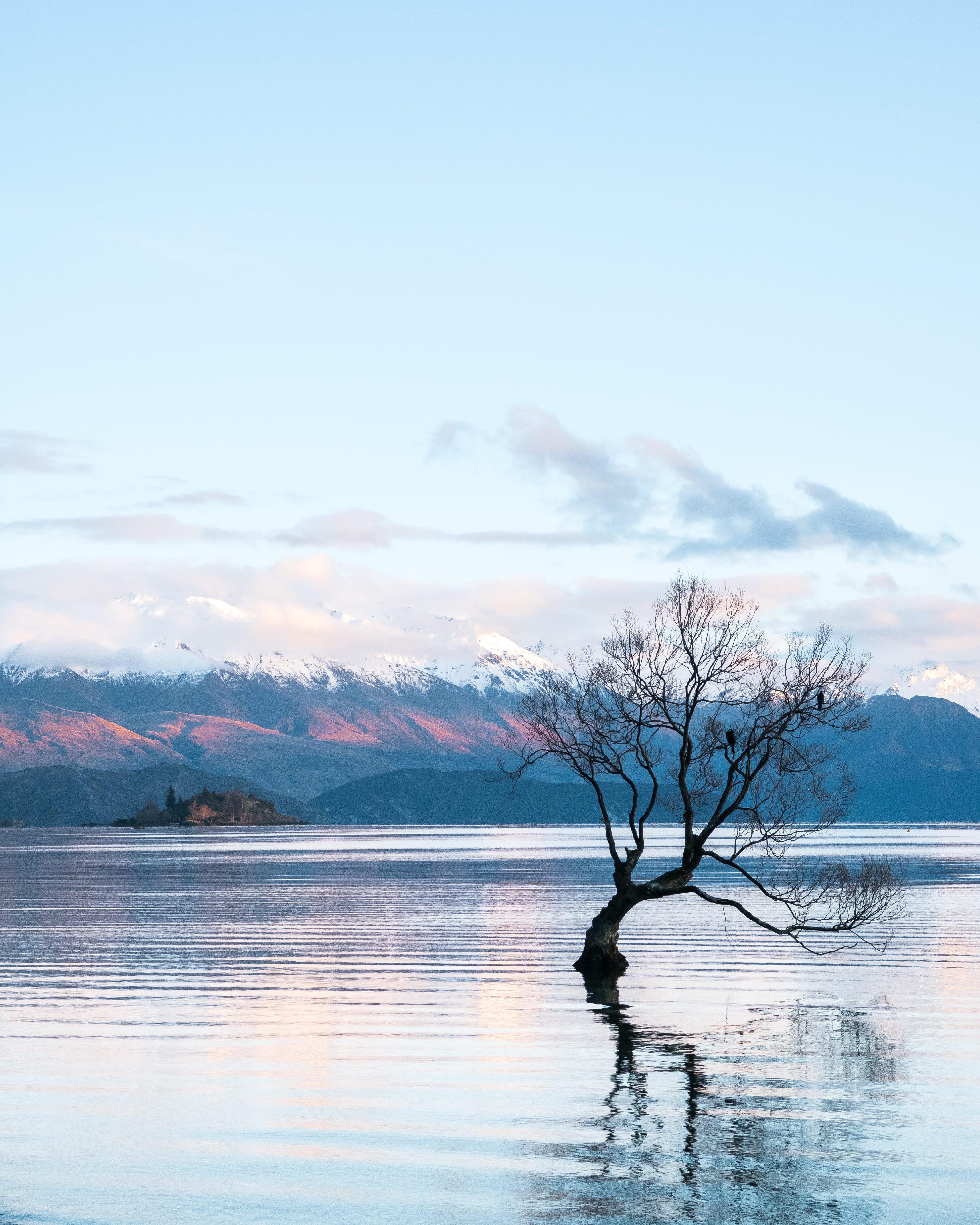 waterfront, golden hour, flooding, mountain, tranquility, sky, snowed, plant, bare, body, aotearoa, brown, lumix, outdoors, nature, ripple, lake, winter, Phone HD Wallpaper