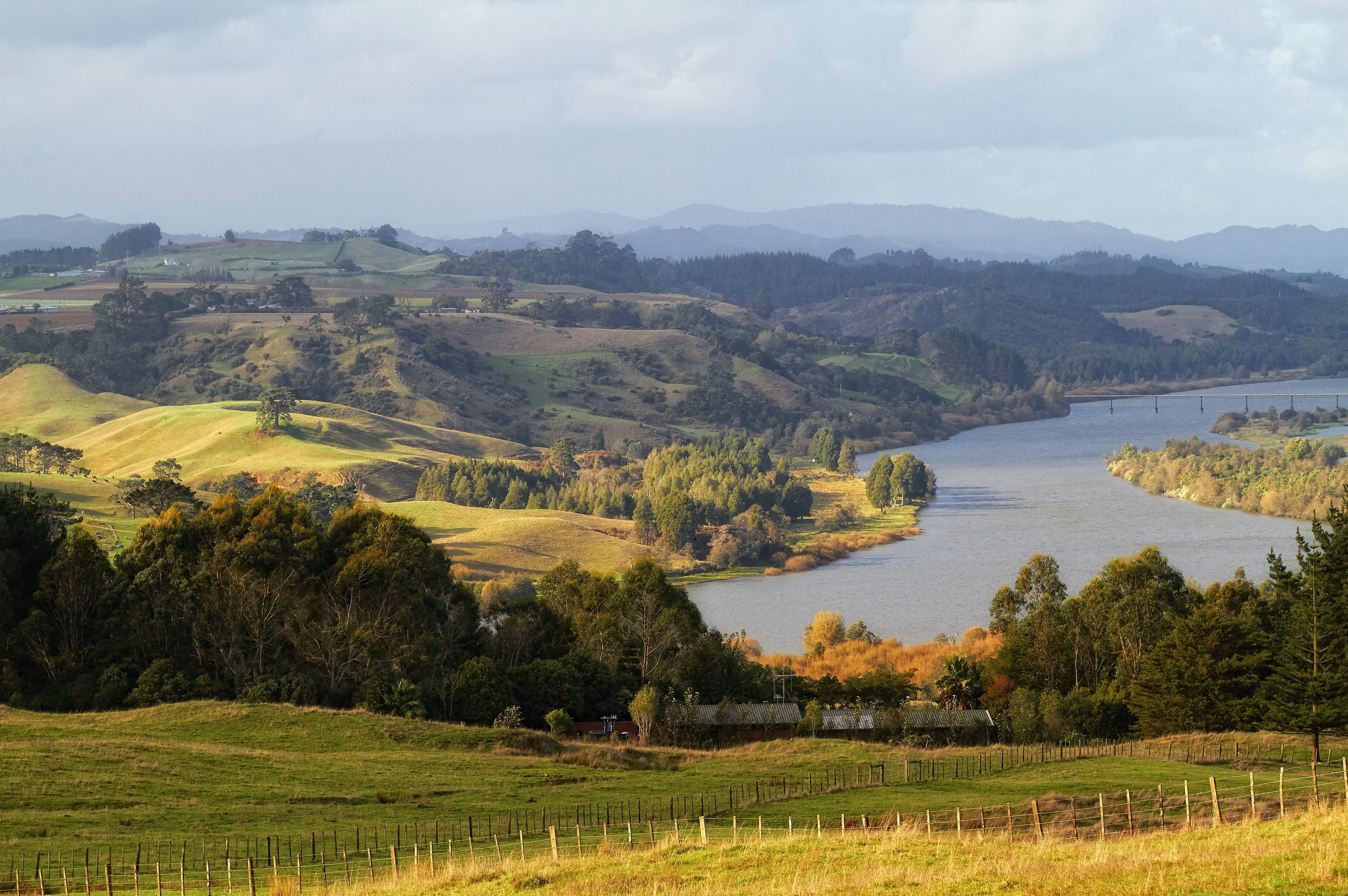 leafed, landscape, 2K, New Zealand, photo, nature, Waikato, trees, forest, river, green, HD Wallpaper
