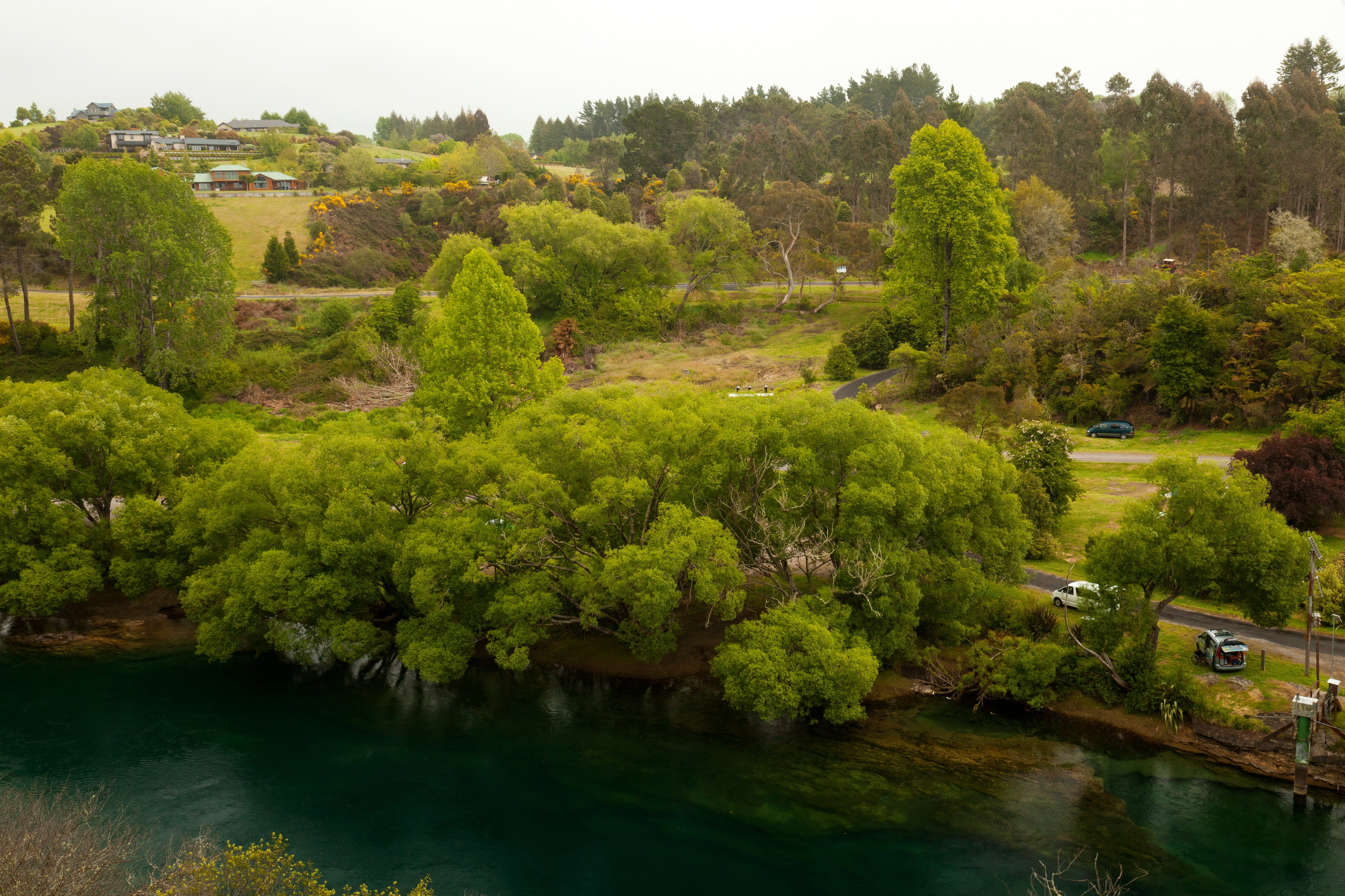 trees, Waikato River, shore, river, Waikato, New Zealand, road, 4K, home, HD Wallpaper