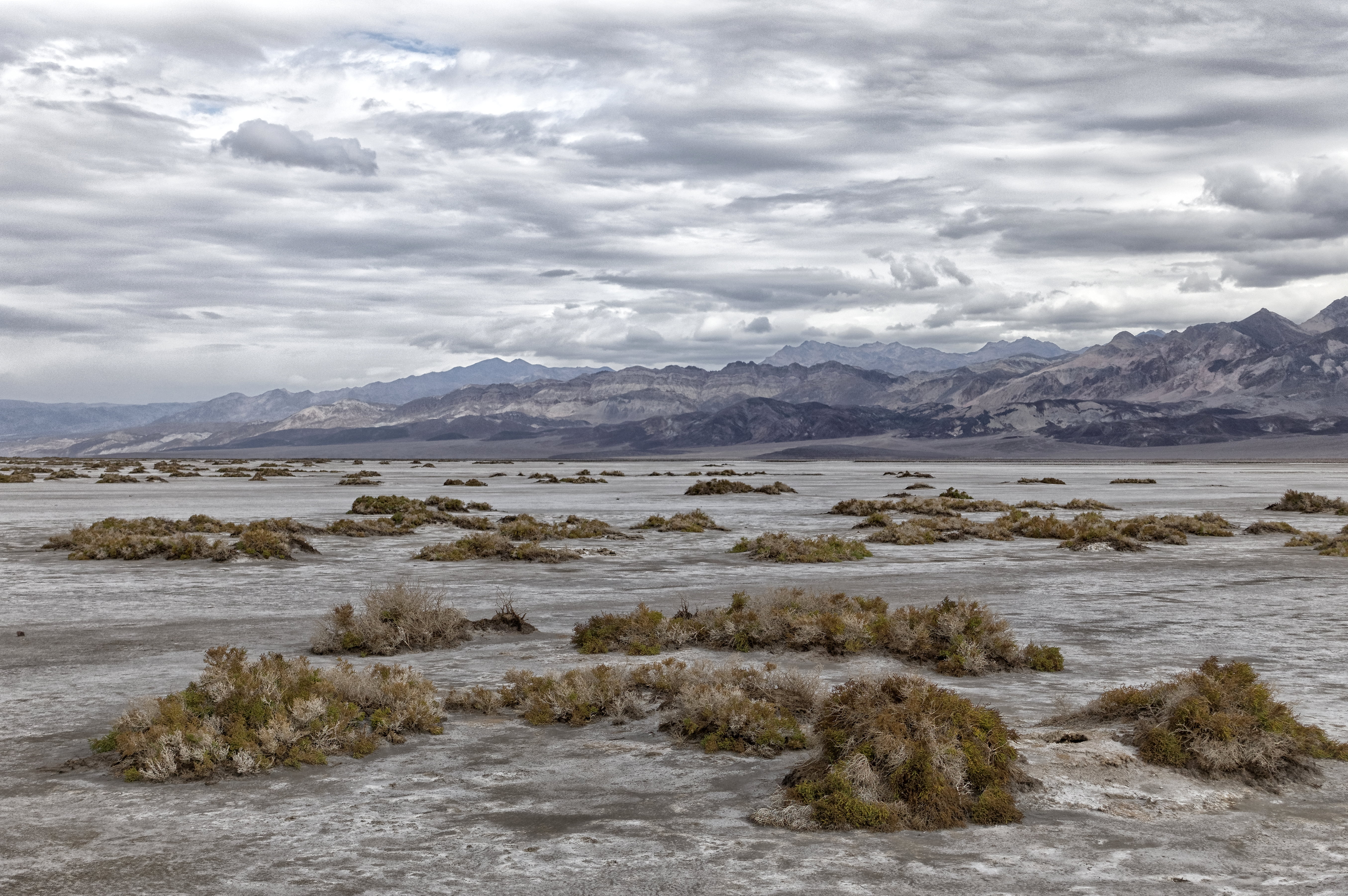 rocky, mountains, green, mountain Range, lake, Down in the Valley, III, scenics, sky, Badwater, rocky mountains, Valley  green, landscape, cloudy, bushes, HD Wallpaper