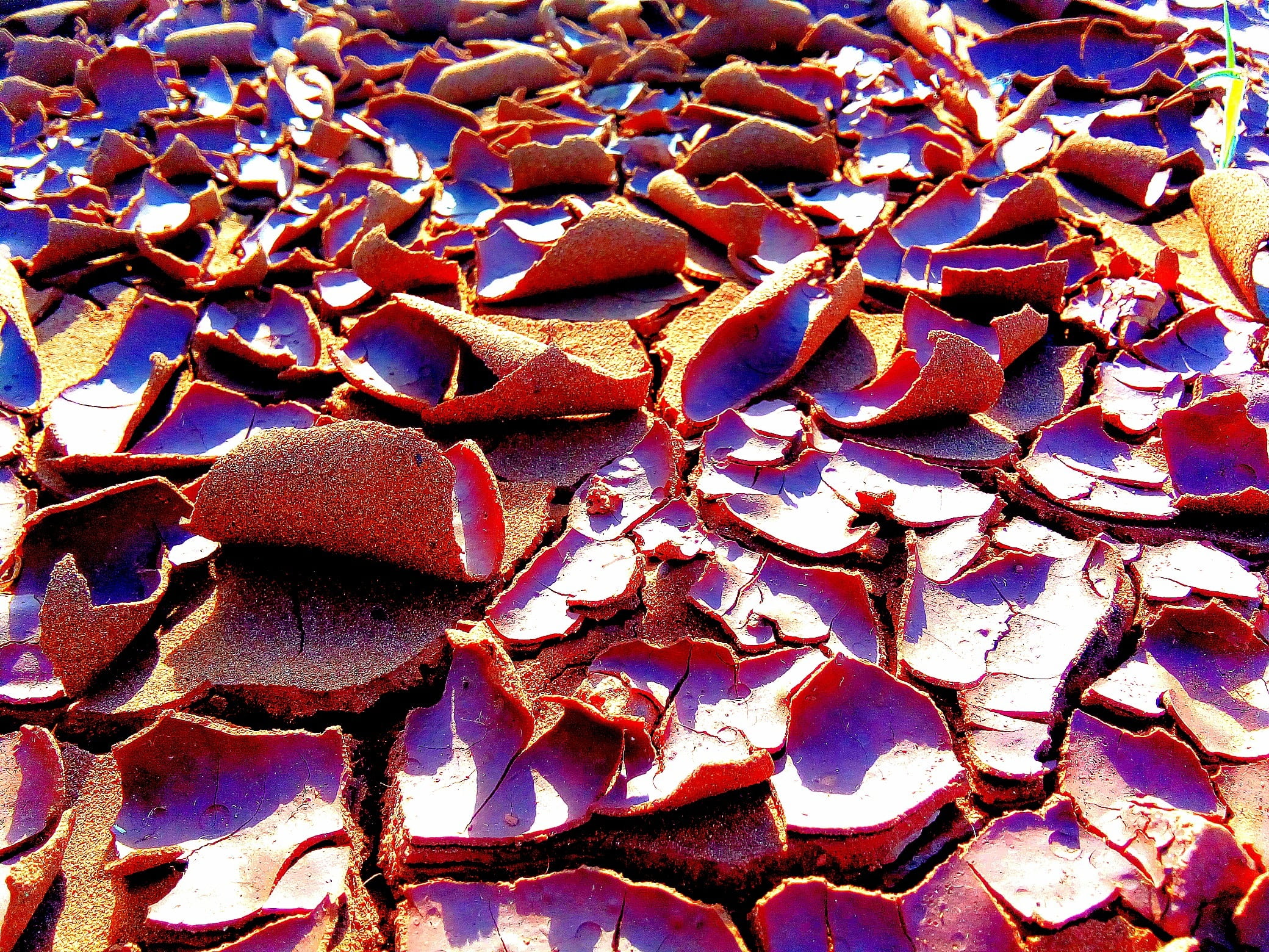 1080P, drought, temptation, sediment, erosion, abundance, backgrounds, soil, food and drink, textured, still life, dry, red, mud cracks, cracks, close-up, HD Wallpaper