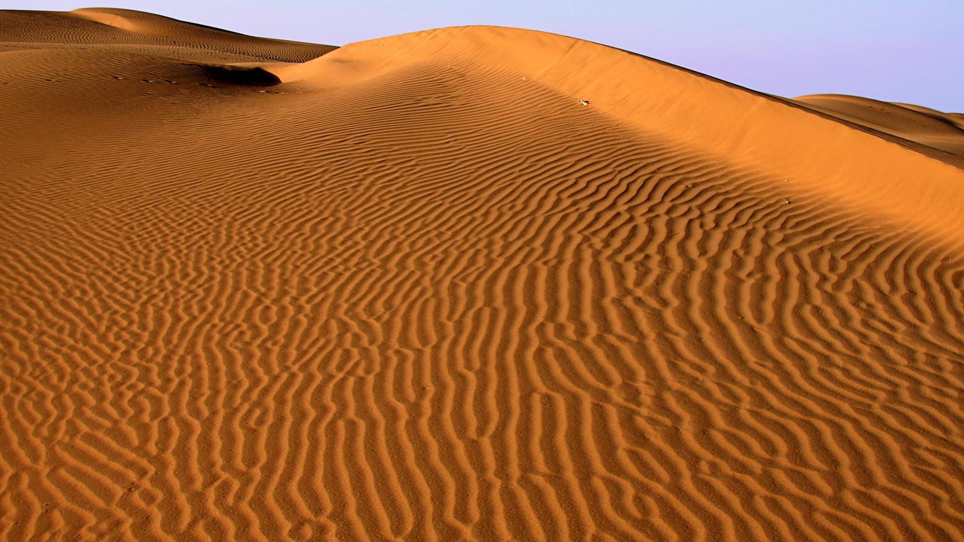 thar, environment, animal wildlife, scenics - nature, worldwide, day, natural pattern, arid climate, landscape, beauty in nature, outdoors, climate, nature, HD Wallpaper