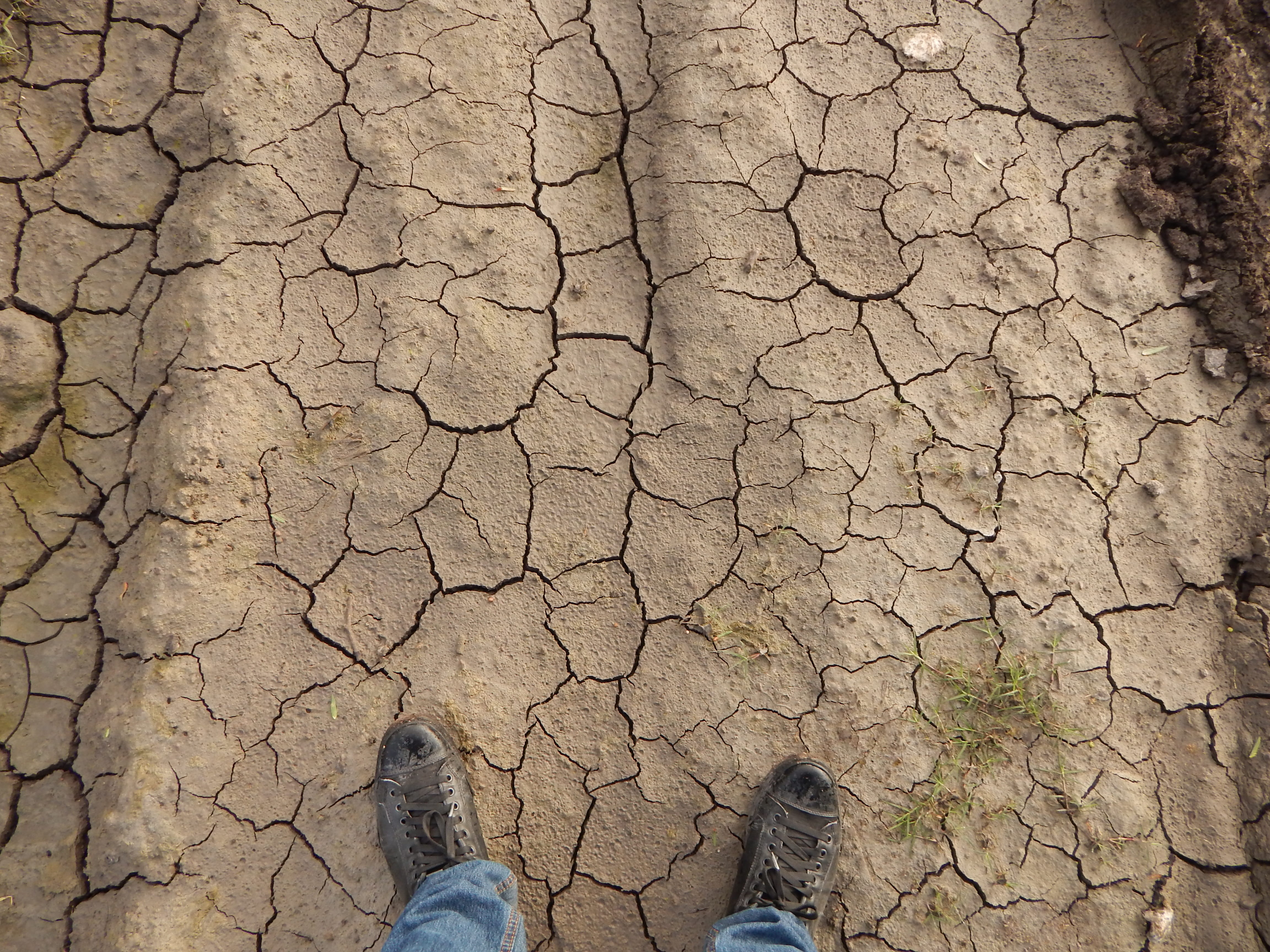 barren, textured, pattern, abstract, climate, body part, human leg, nature, real people, arid Climate, outdoors, soil, human foot, agriculture, eroded, HD Wallpaper