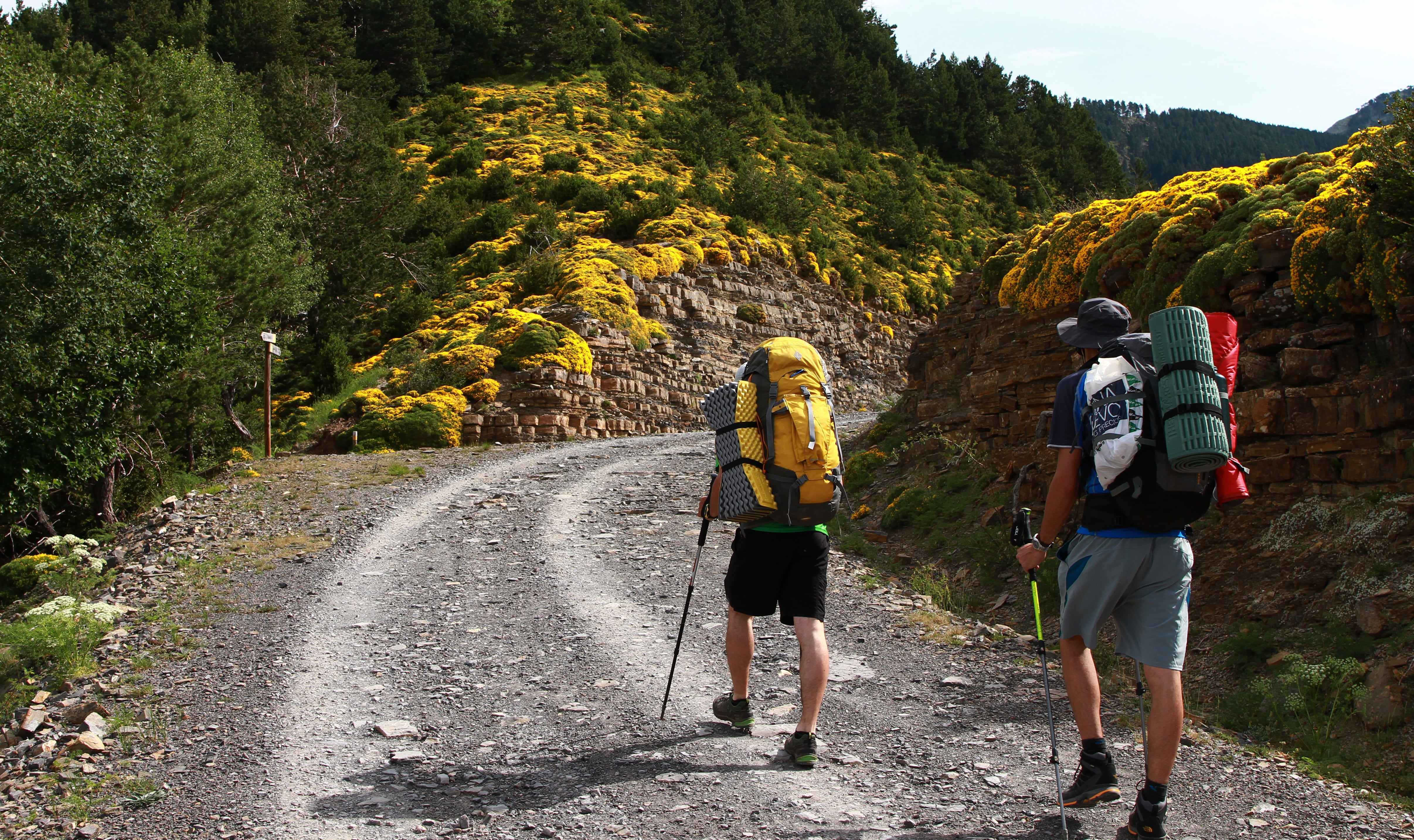 nature, men, outdoors, torla, footpath, mother-inlaws pillow plant in bloom, mountains, hike, yellow, yellow flowers, leisure activity, full length, people, HD Wallpaper