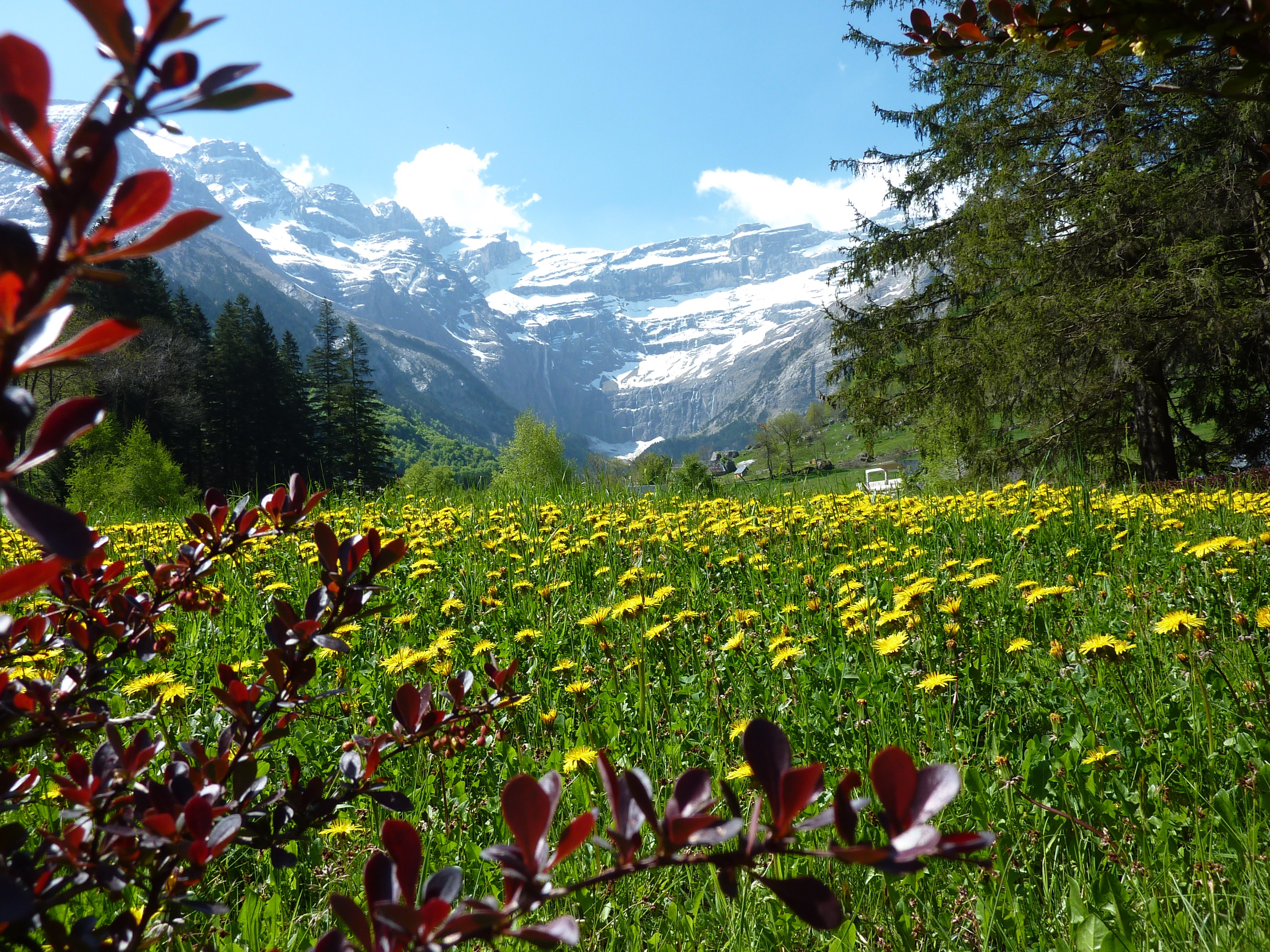 summer, mountain, tranquility, flower, sky, gavarnie, land, landscape, flower meadow, field, plant, day, nature, growth, freshness, scenics - nature, no people, HD Wallpaper