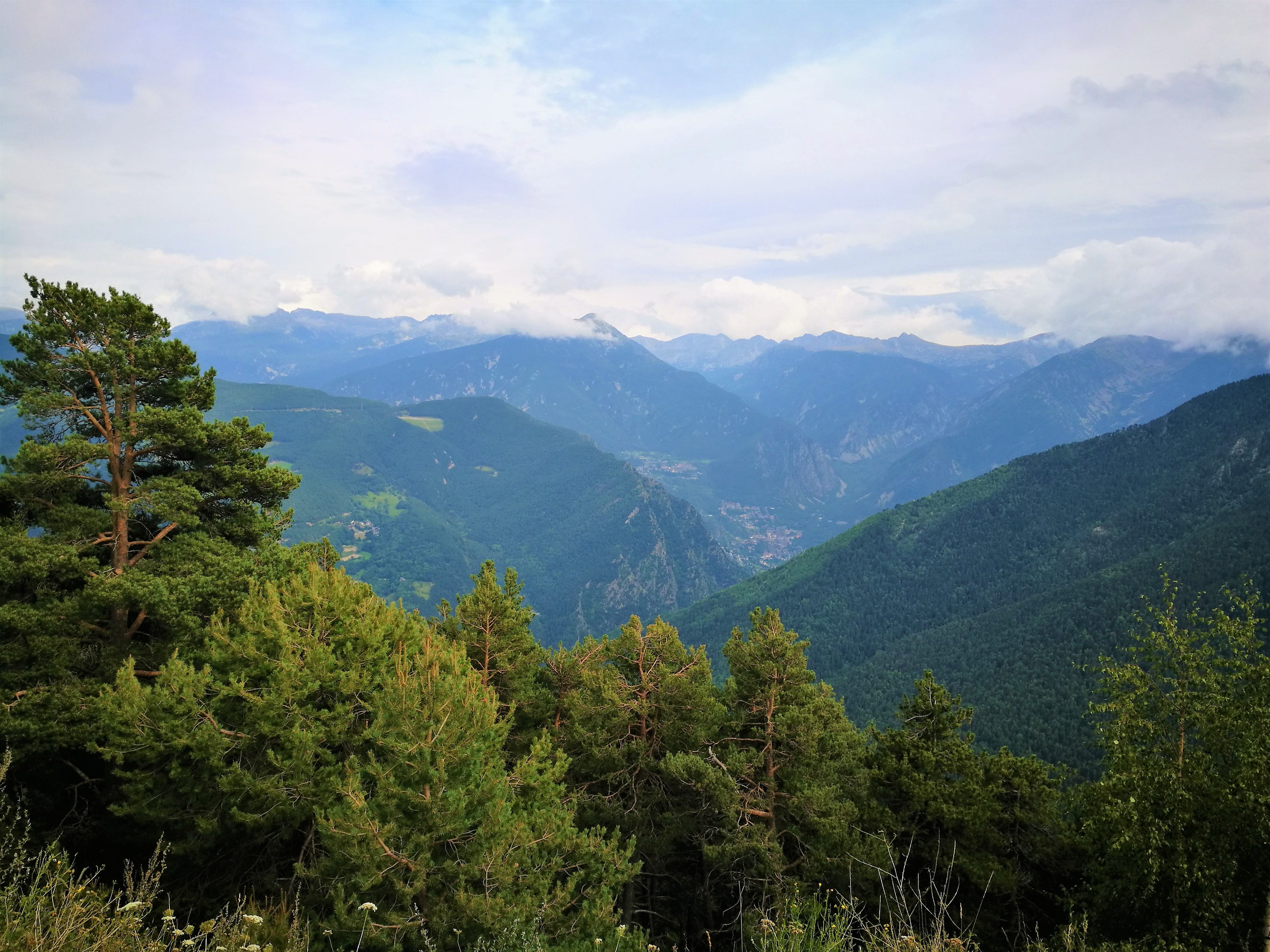 non-urban scene, sky, plant, tree, tranquil scene, scenics - nature, green color, coniferous tree, no people, 4K, summer, nature, environment, pyrenees, HD Wallpaper