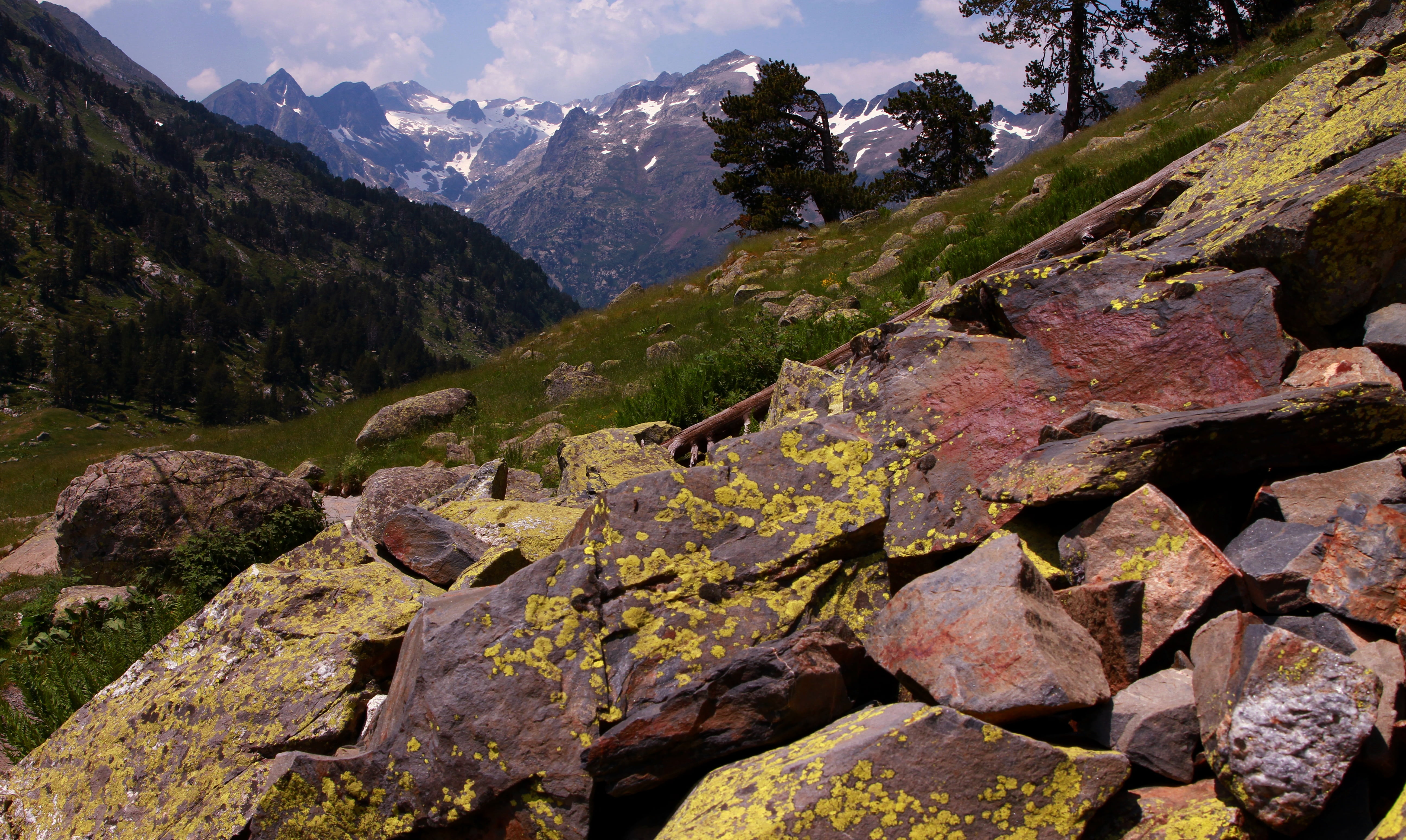 rock - object, hike, plant, aneto, mountains, non-urban scene, trail, tree, rocks, pyrenees, mountain range, solid, day, no people, scenics - nature, sky, HD Wallpaper