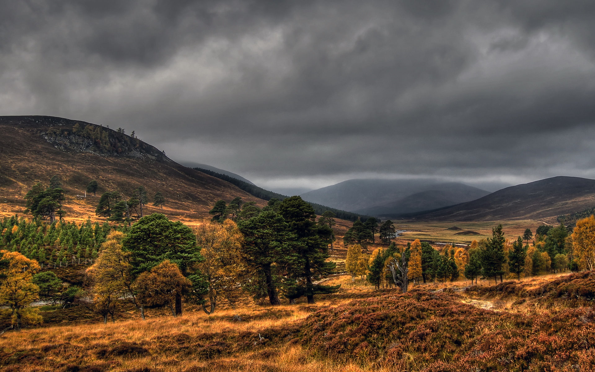 scenics - nature, cairngorms, environment, beauty in nature, land, non-urban scene, sky, 1080P, tranquil scene, clouds, landscape, plant, braemarscotland, HD Wallpaper