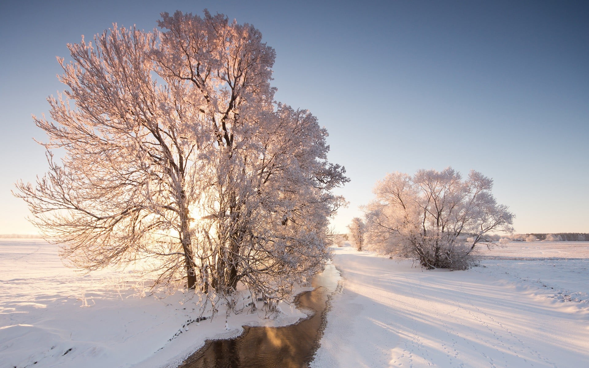 clear sky, environment, beauty in nature, landscape, isolated, day, scenics - nature, 1080P, sky, outdoors, frozen, tree, cold temperature, snow, nature, HD Wallpaper