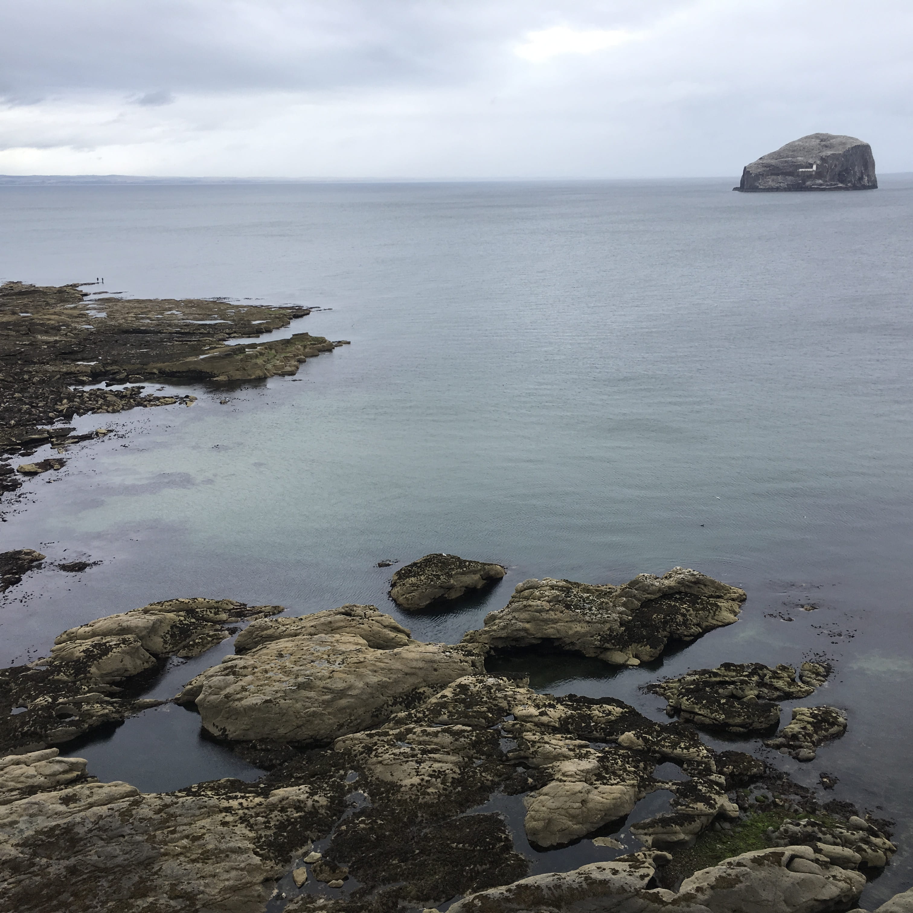 castle, nature, rock, no people, edinburgh, outdoors, beauty in nature, rock - object, solid, land, tranquil scene, scotland, sea, horizon over water, north berwick, Phone HD Wallpaper