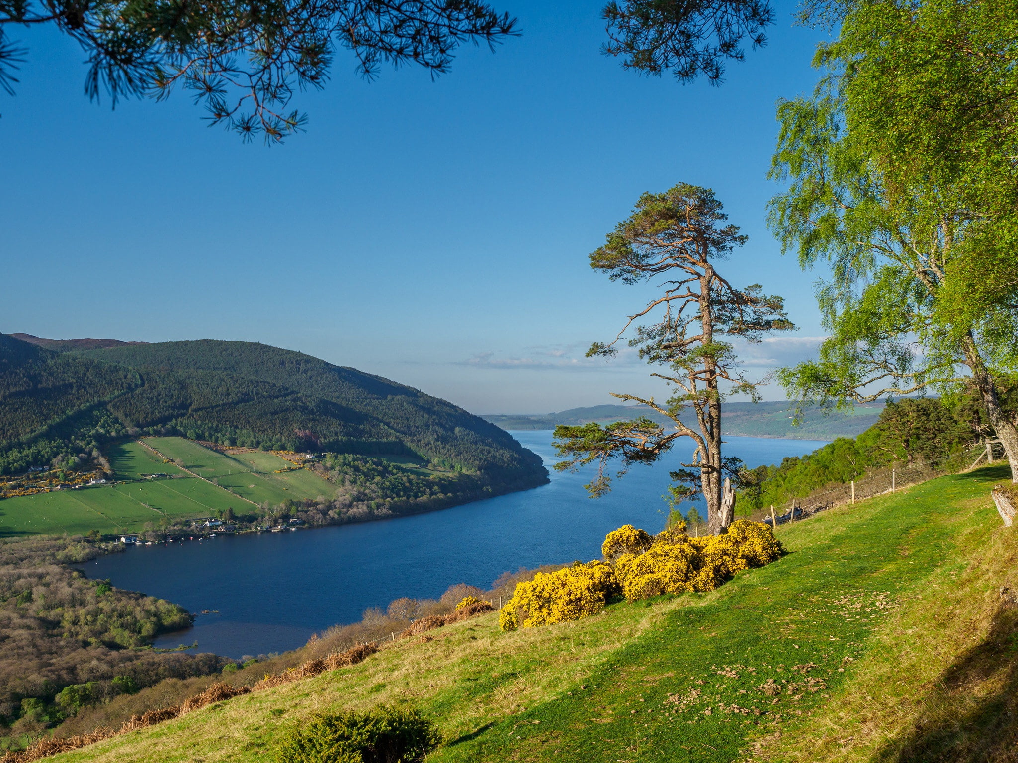 hills, lake, Scotland, 1080P, trees, Scottish Highlands, Loch Ness, slope, HD Wallpaper