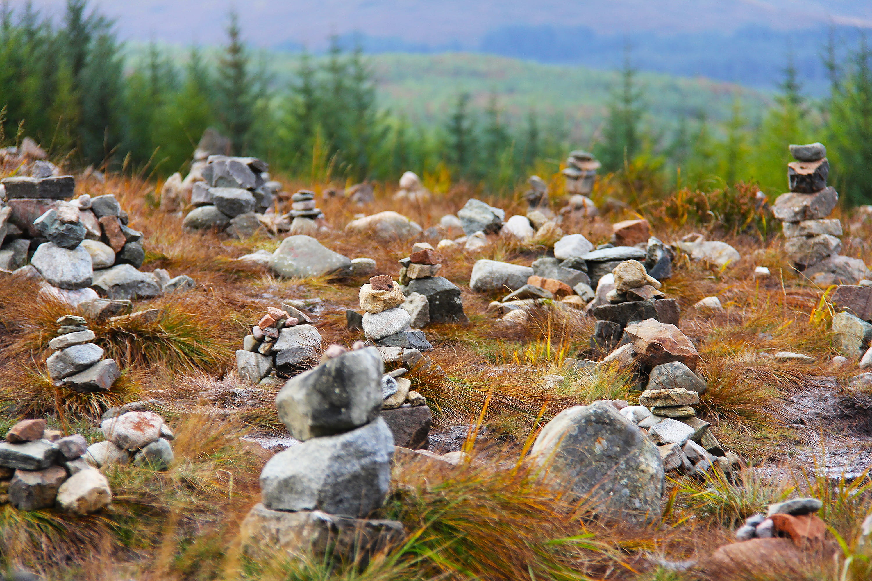 outdoors, tree, environment, water, day, scotland, stack, tranquility, stone, rock - object, tranquil scene, land, plant, peak, grass, nature, 2K, fairy glen, HD Wallpaper