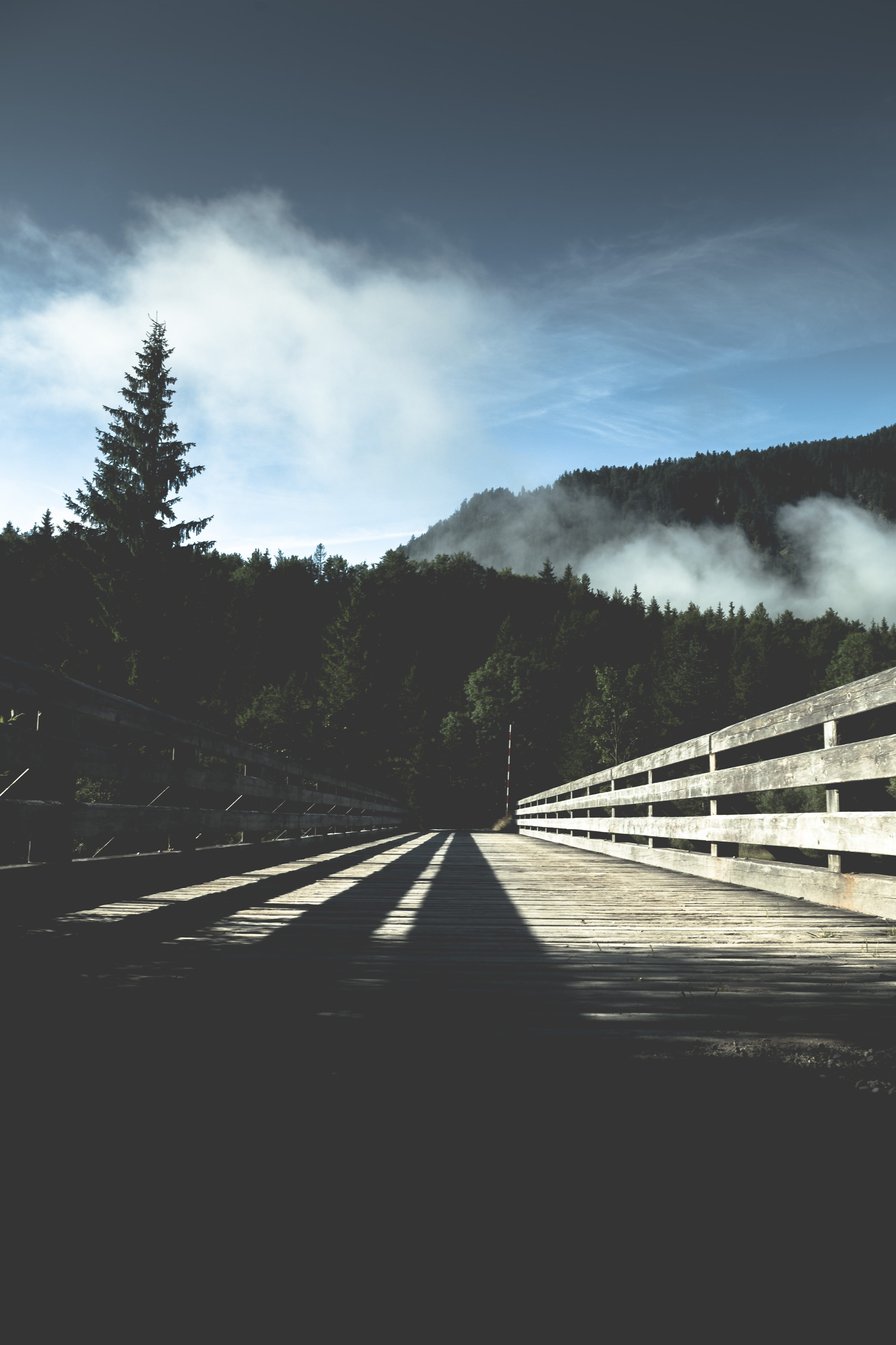 grayscale, travel, brown, crash barrier, railing, surface level, the way forward, vanishing point, tree, gray, nature, blue, highway, road trip, cloud - Sky, Phone HD Wallpaper