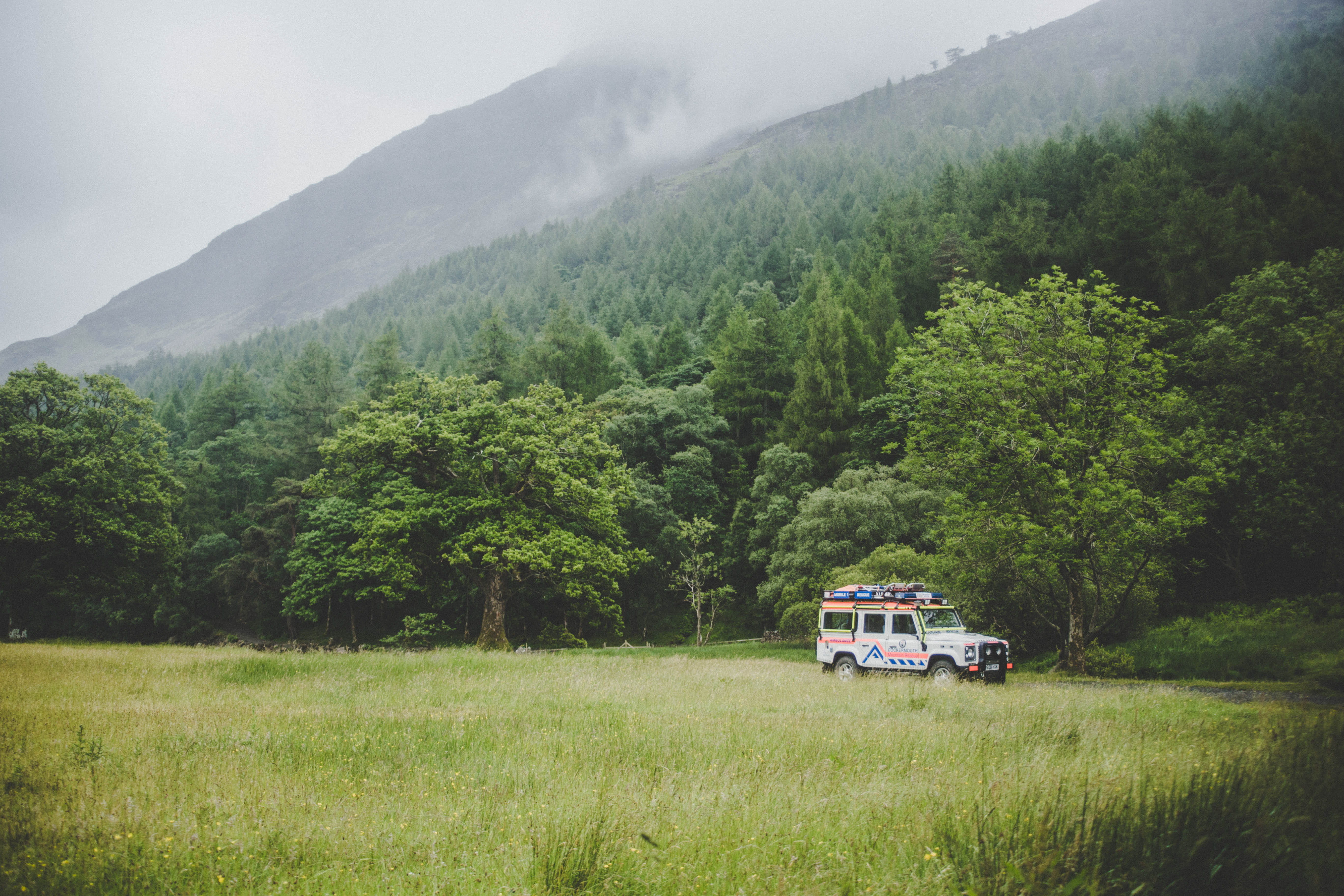 forest, green color, white, plant, suv, motor vehicle, hill, growth, field, mode of transportation, land vehicle, transportation, grass, scenics - nature, HD Wallpaper