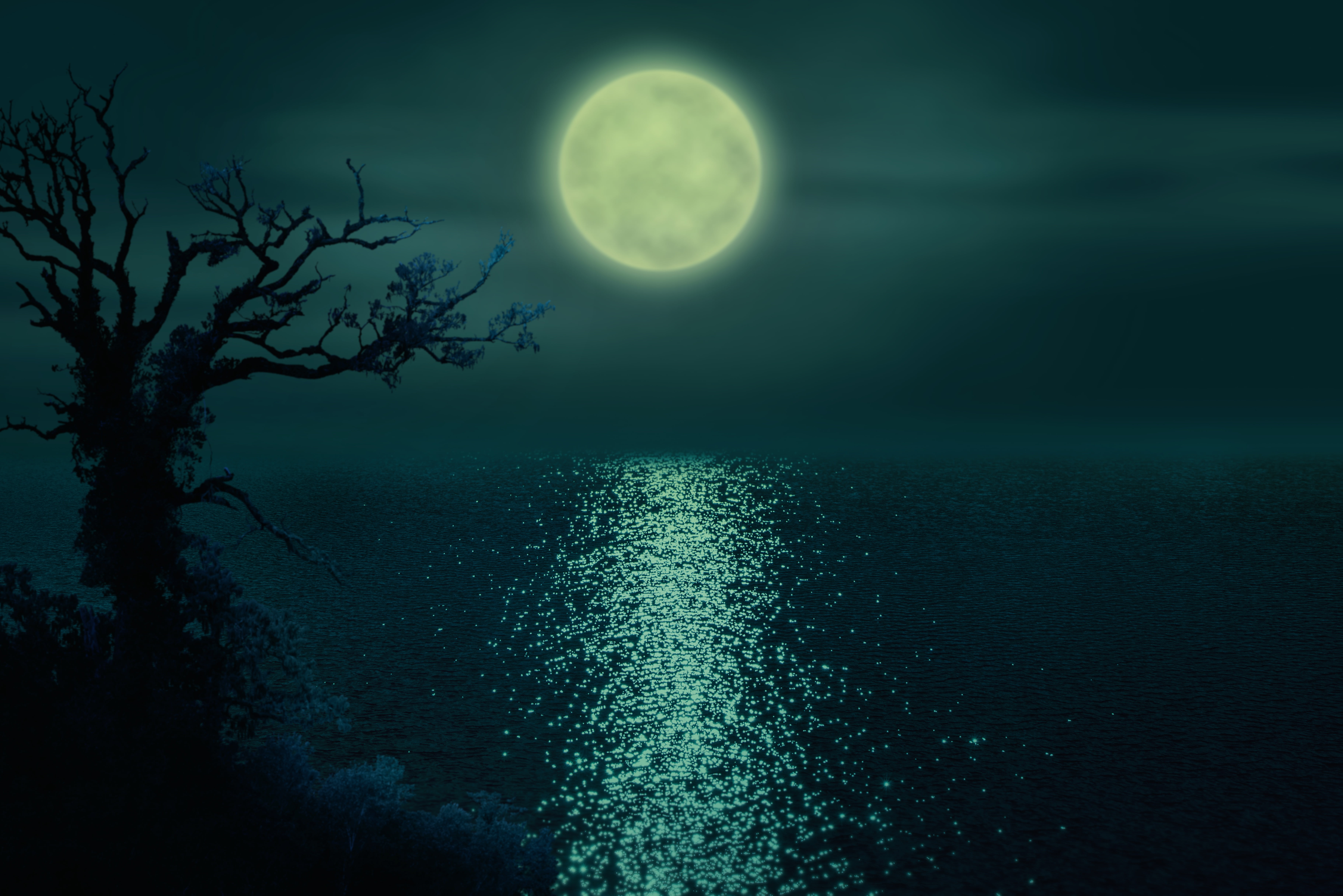 night, the ripples on the water, The moon, 5K, lonely tree, river, HD Wallpaper