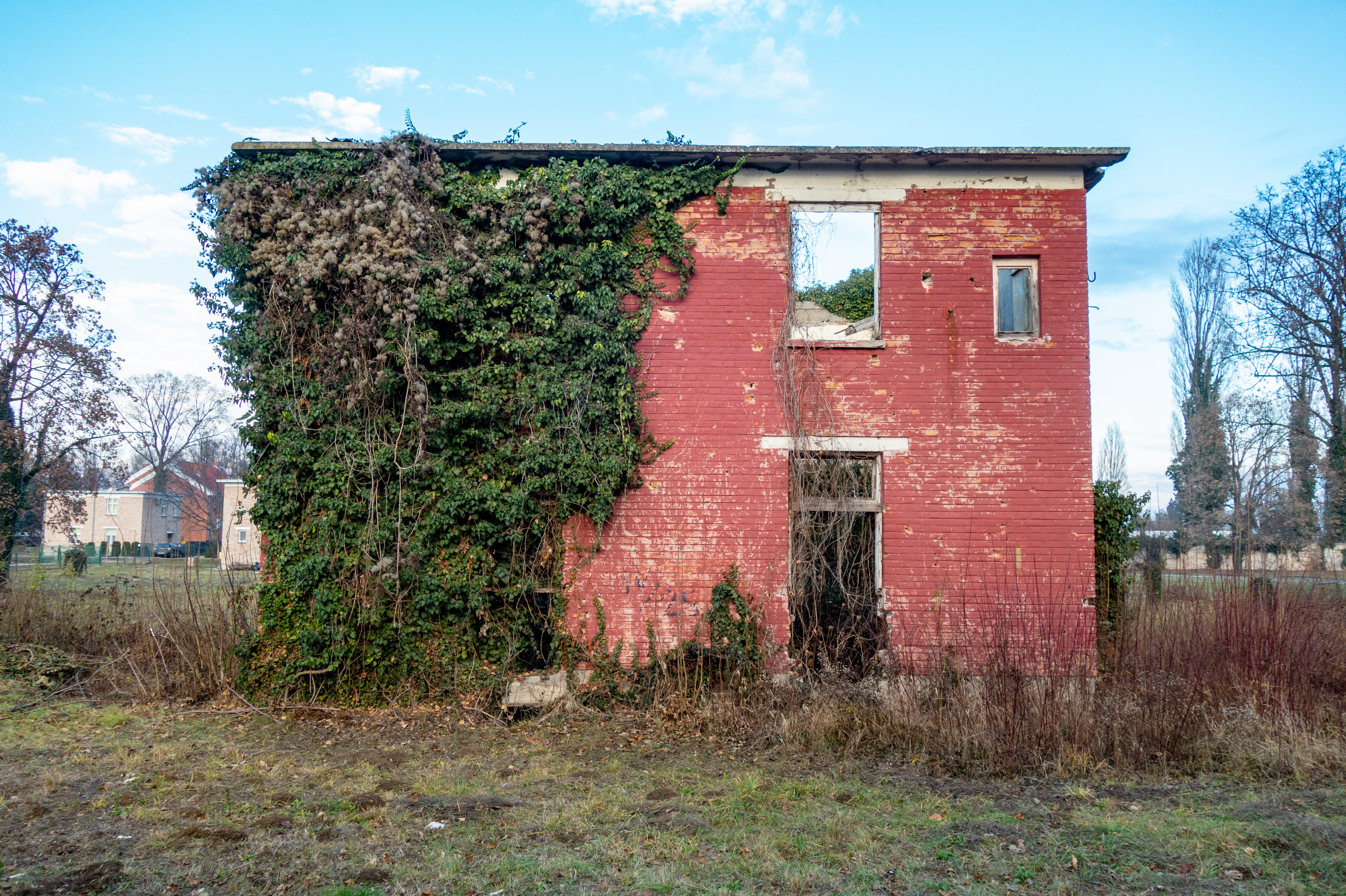 tree, bata, war, nature, day, house, grass, borovo, batas house after war, field, old, plant, land, 5K, destroyed, green, 1991, red, architecture, no people, HD Wallpaper