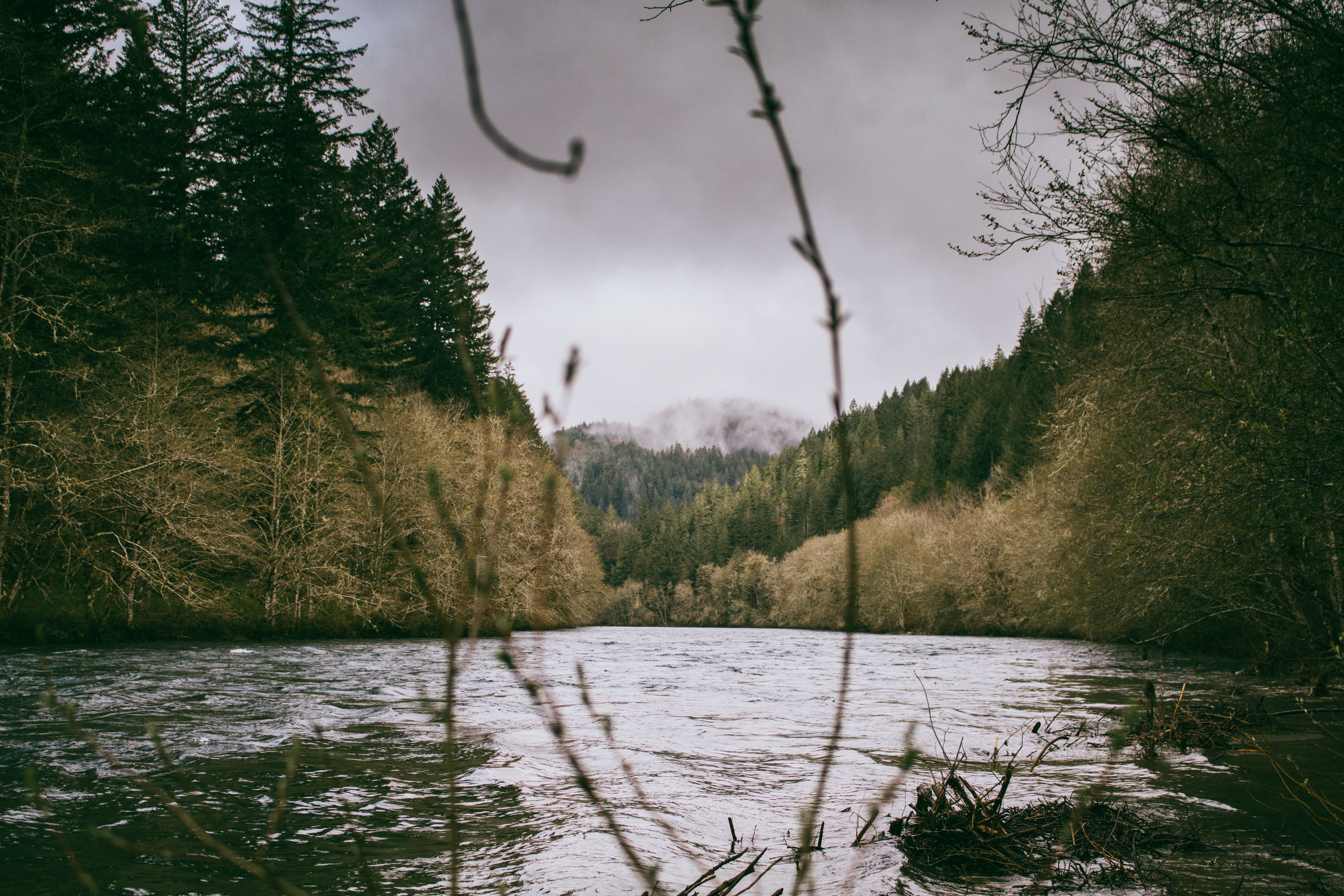 growth, scenics - nature, cloud - sky, river, northwest, green color, flowing water, water, forest, mountians, land, portland, fog, outdoors, sky, tranquil scene, HD Wallpaper