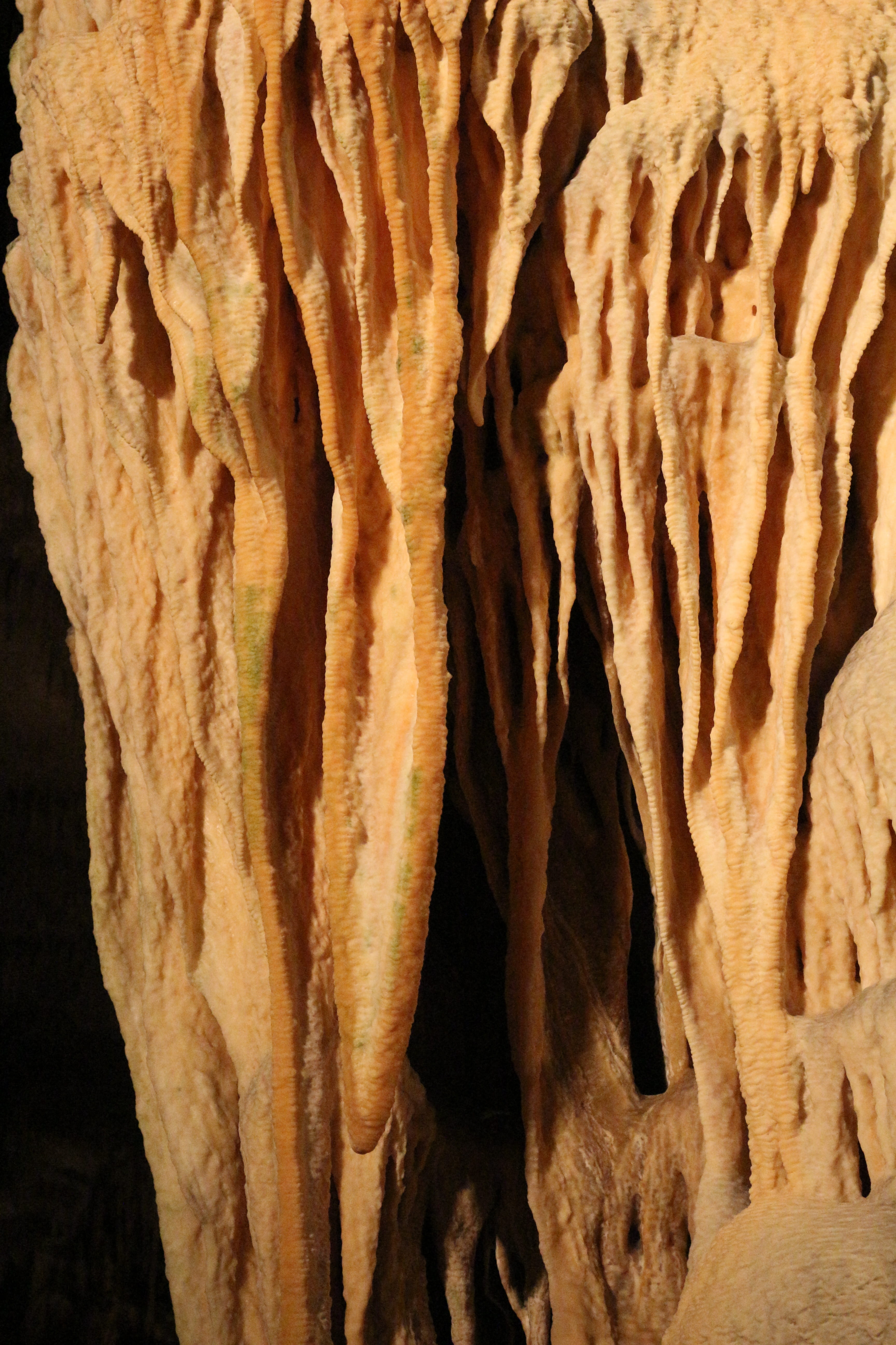 mallorca, full frame, mammal, food and drink, one animal, studio shot, animal body part, dragons lair, mystical, indoors, natural pattern, day, stalactite cave, Phone HD Wallpaper