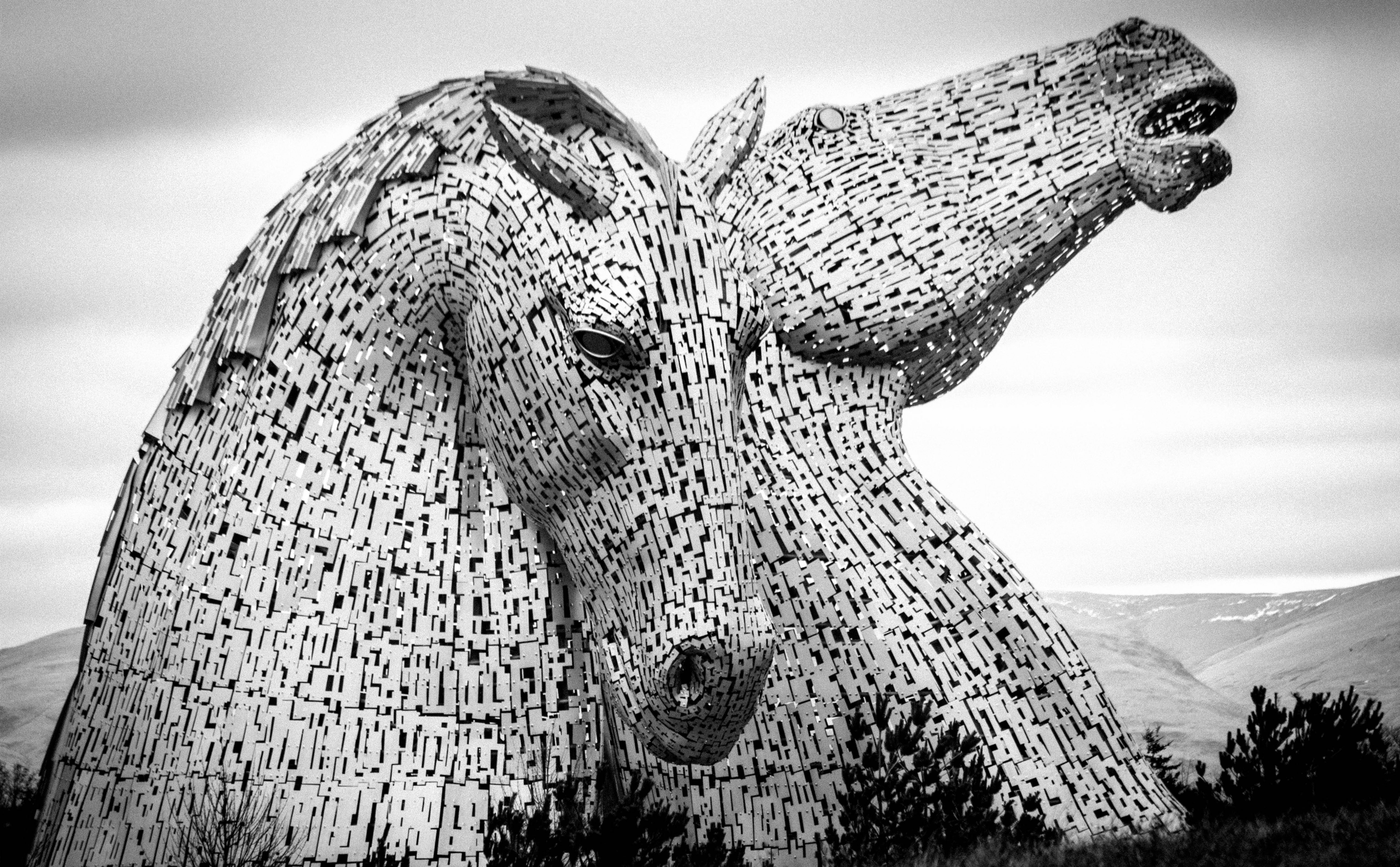 grangemouth, animal wildlife, Scott, nature, statue, forthandclydecanal, Andy, Central, animal themes, focus on foreground, 5K, two, representation, animal representation, HD Wallpaper