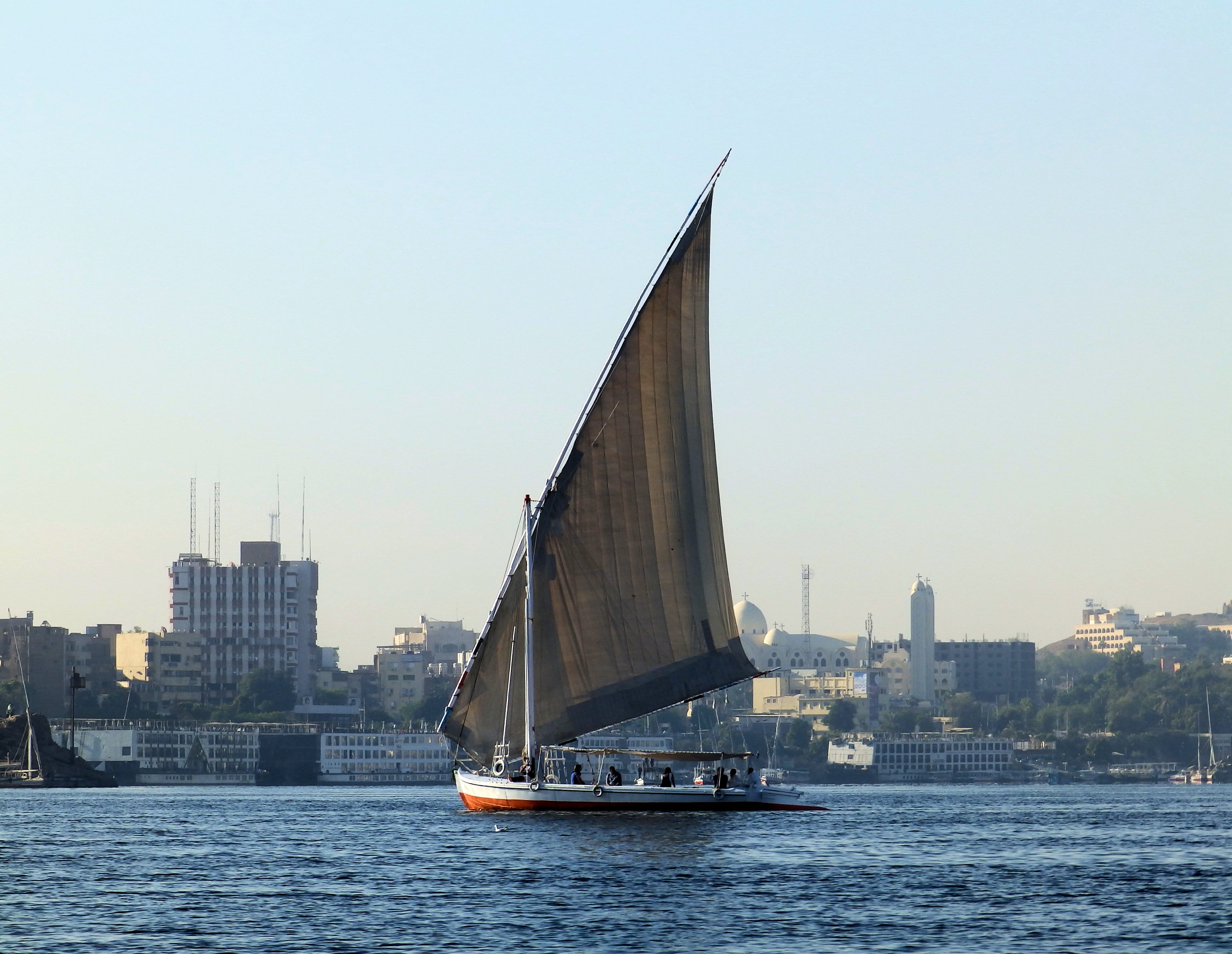 cruise, ship, city, sailboat, nautical vessel, nil, clear sky, water, cityscape, river, day, travel, sailing, luxury, no people, architecture, office building exterior, HD Wallpaper