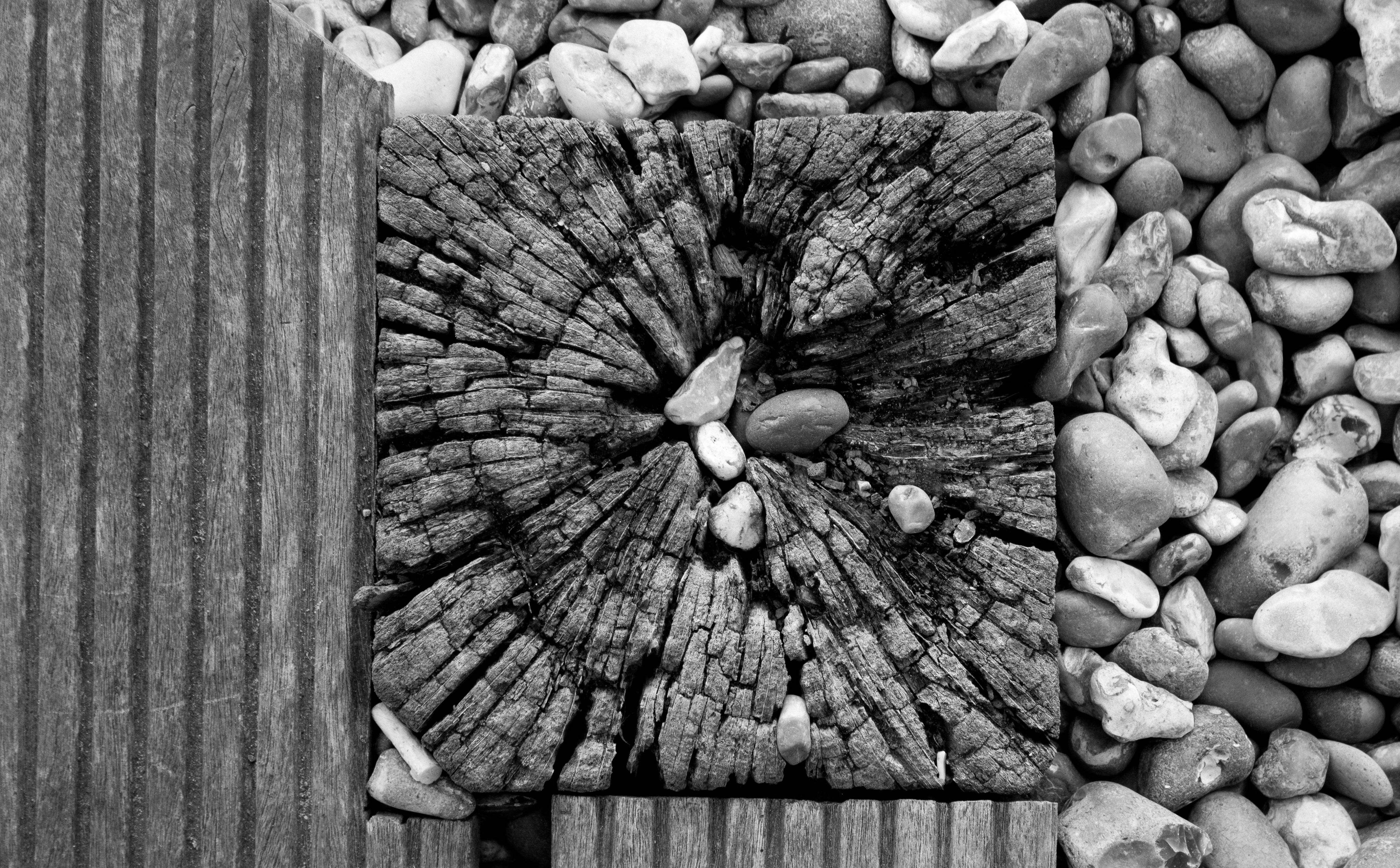 full frame, textured, post, Black and White, rock, auto post production filter, outdoors, nature, pattern, backgrounds, wood - material, rough, day, 5K, HD Wallpaper